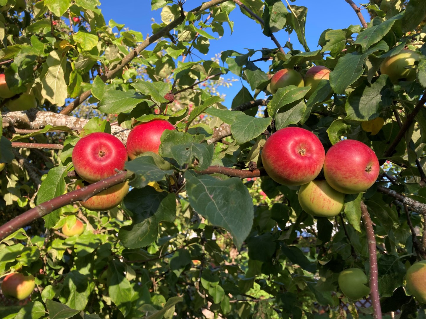 Bostadsbild från Fasma 235, Såld i Björklinge, Uppsala