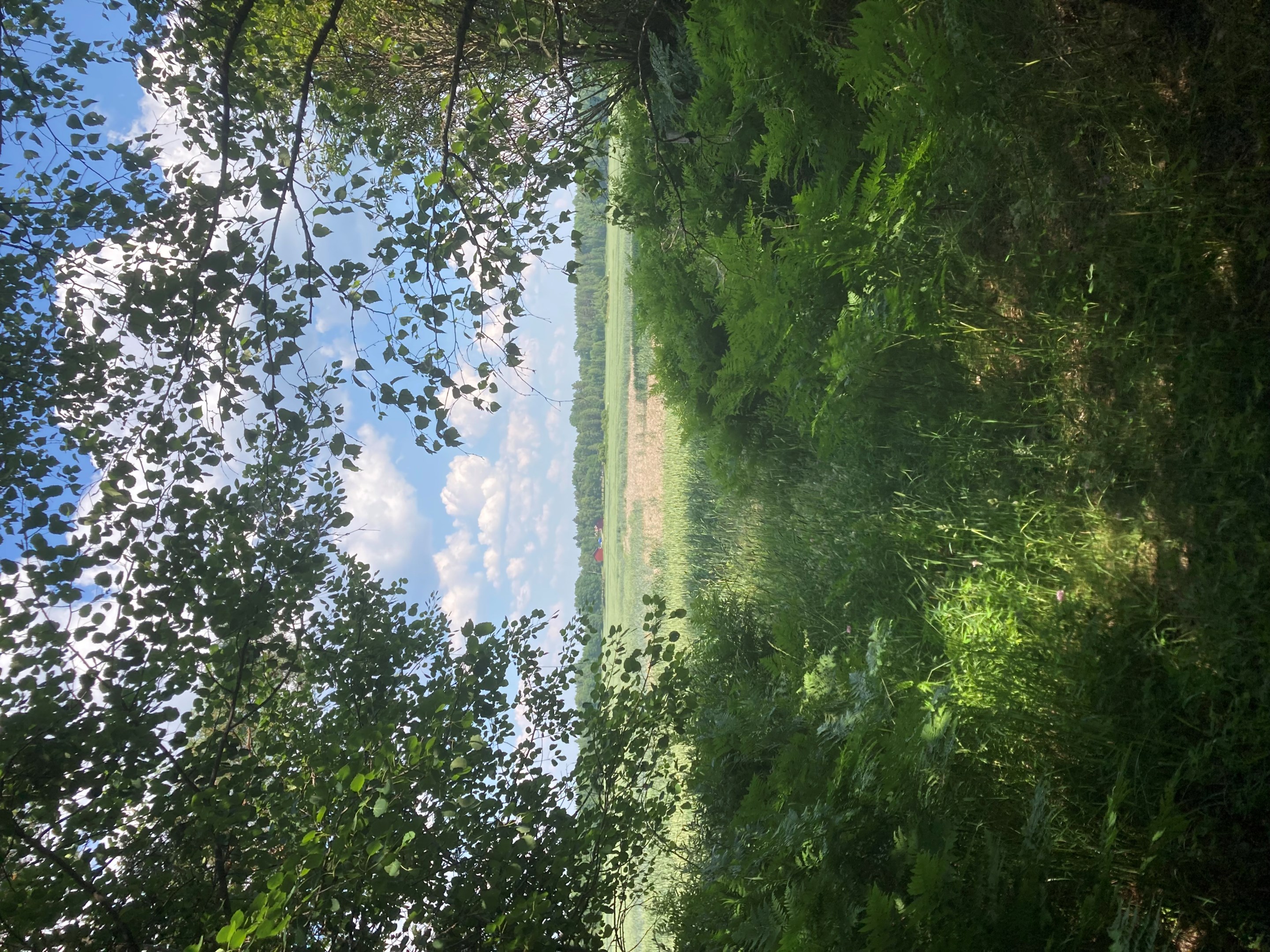 Bostadsbild från Fasma 235, Såld i Björklinge, Uppsala