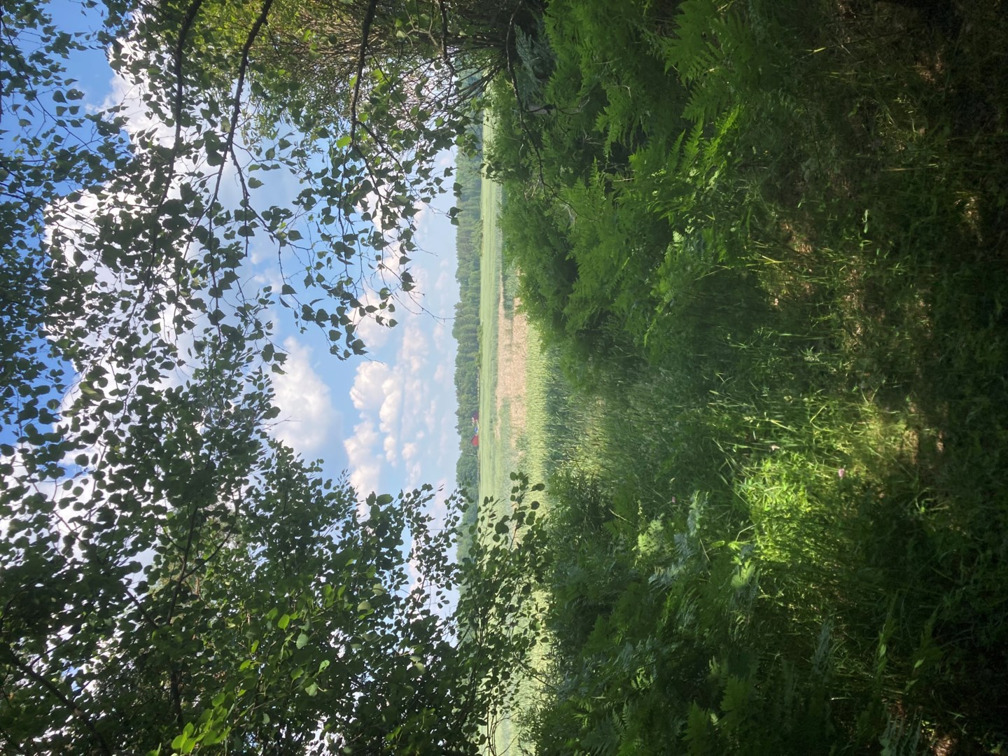 Bostadsbild från Fasma 235, Såld i Björklinge, Uppsala