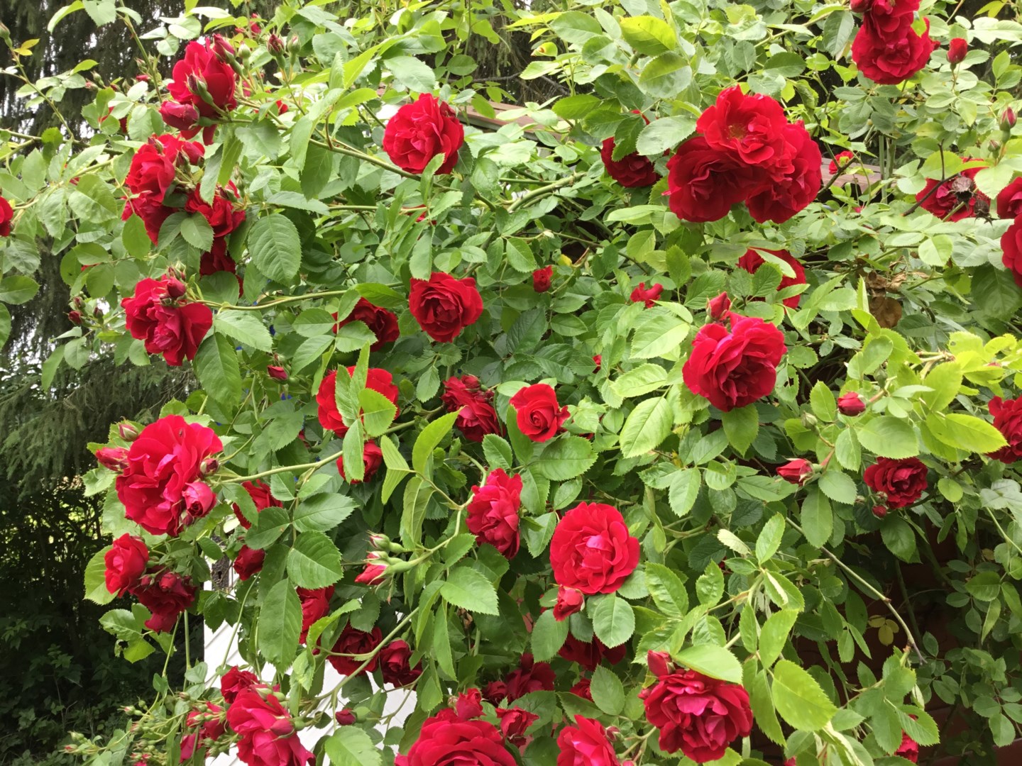 Bostadsbild från Fasma 235, Såld i Björklinge, Uppsala