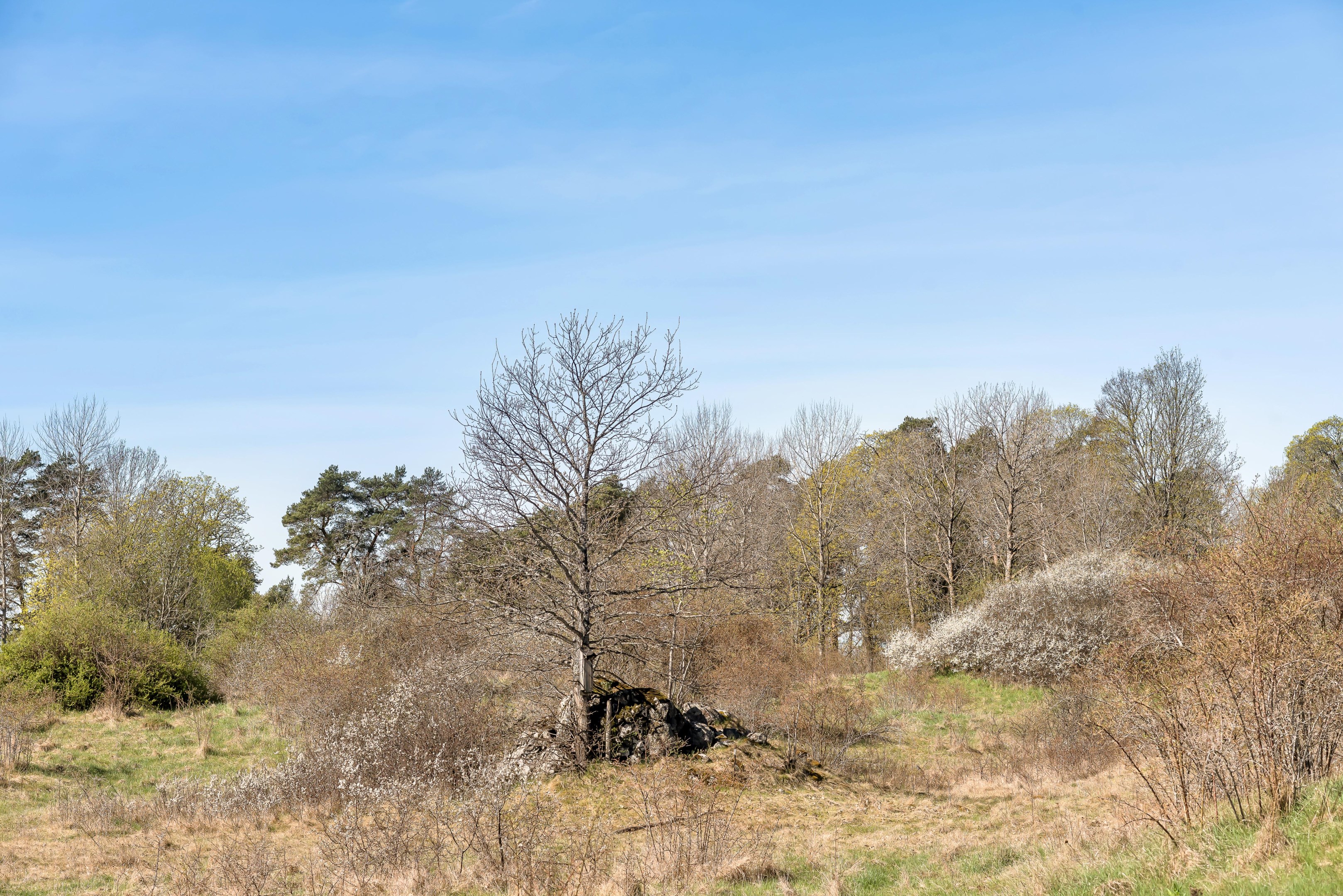 Bostadsbild från Sömnadsvägen 31, Såld i Nåntuna, Uppsala