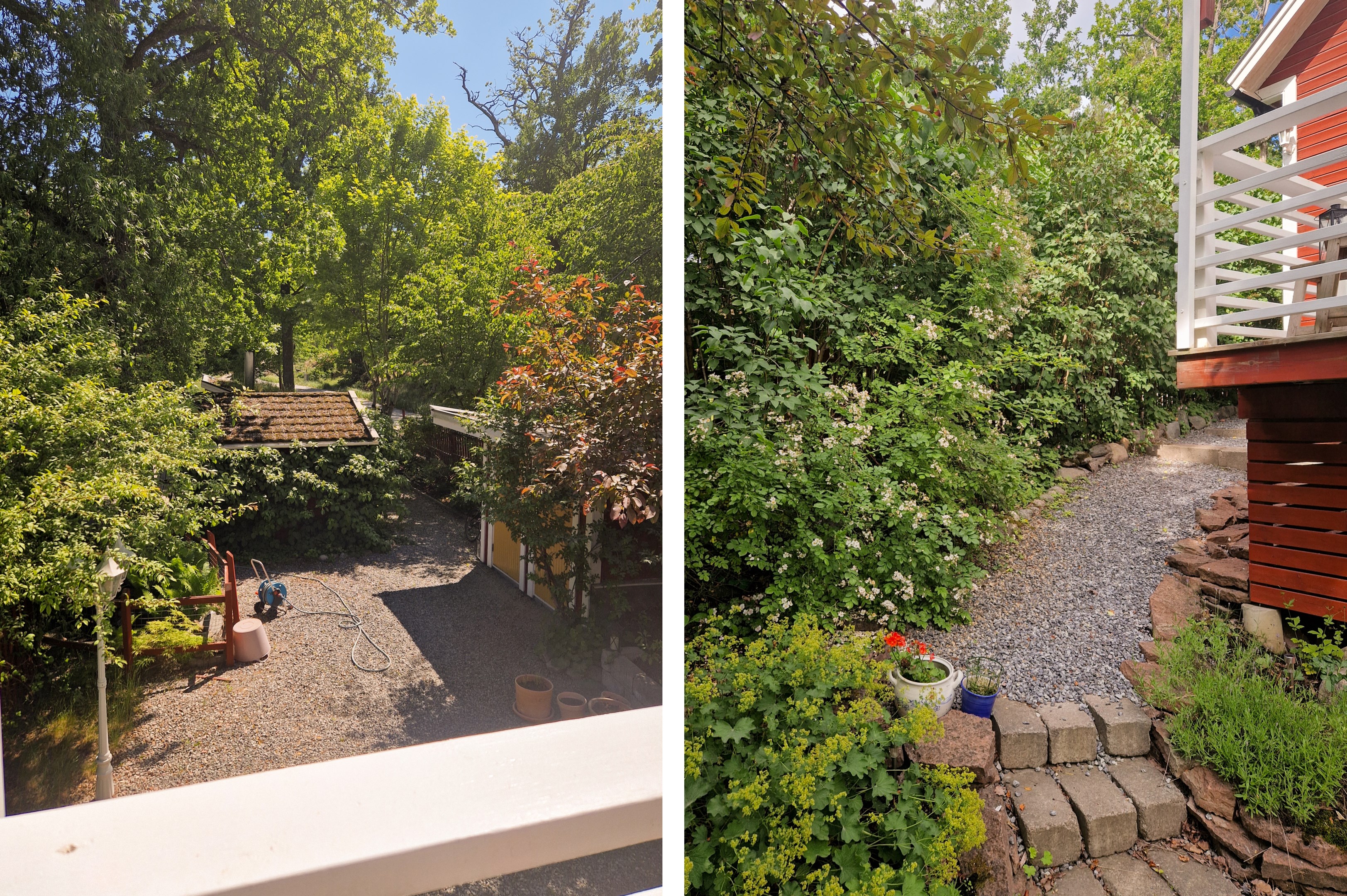 Trädgården i grönska - säljarens sommarbild