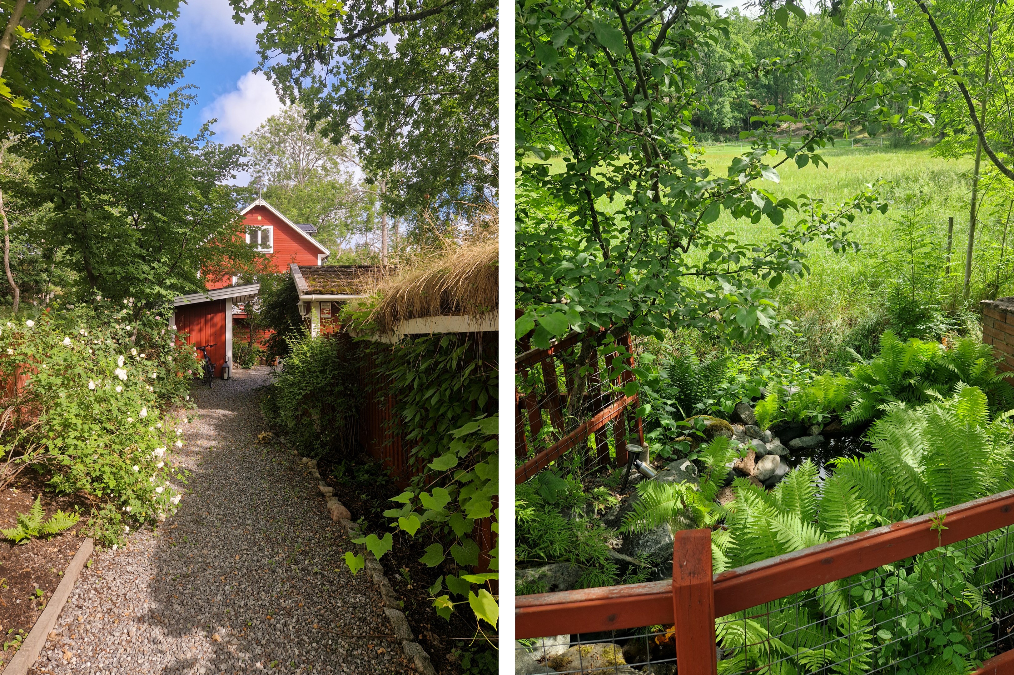 Trädgården i grönska - säljarens sommarbild
