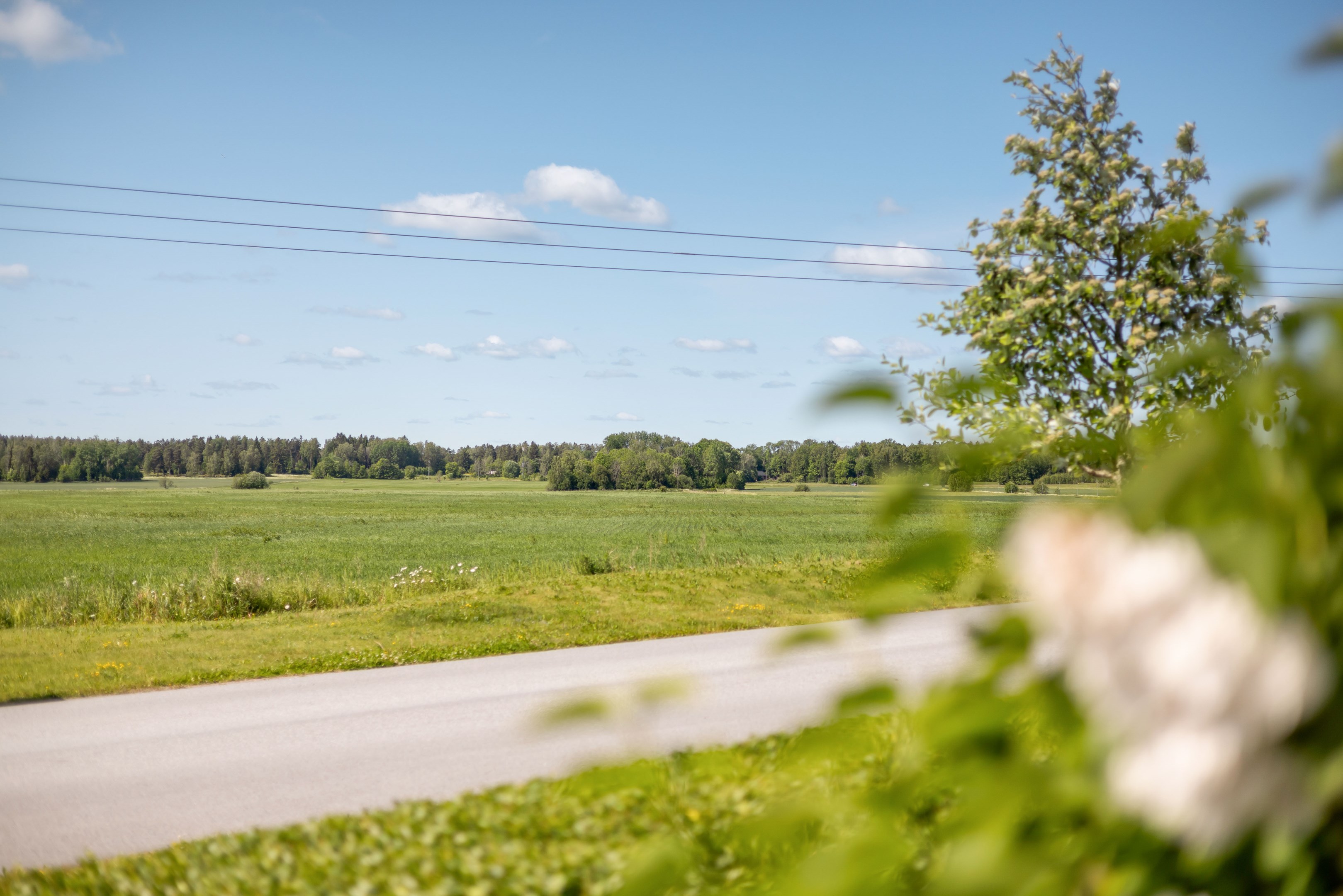 Bostadsbild från Timotejvägen 2, Kommande i Lövstalöt, Uppsala