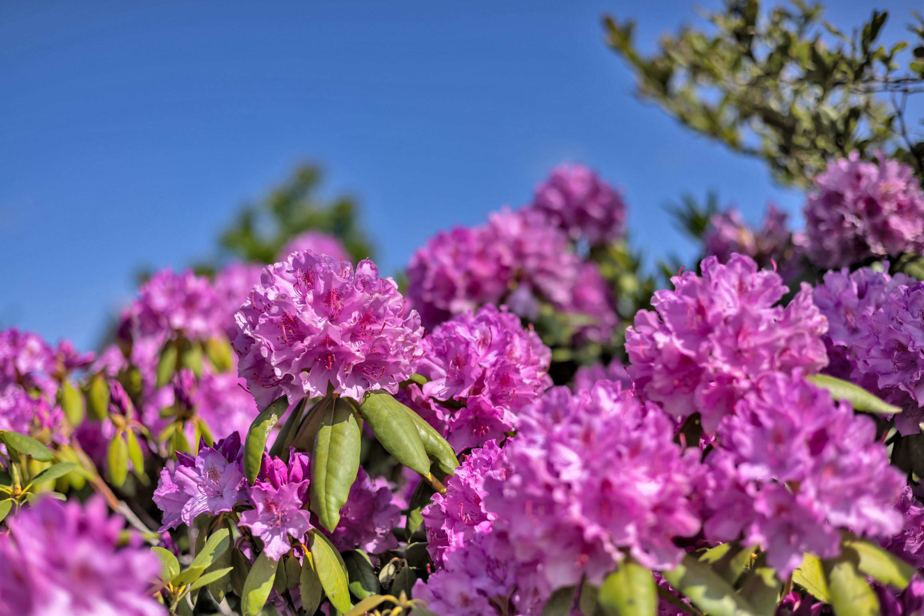 Bostadsbild från Timotejvägen 2, Kommande i Lövstalöt, Uppsala