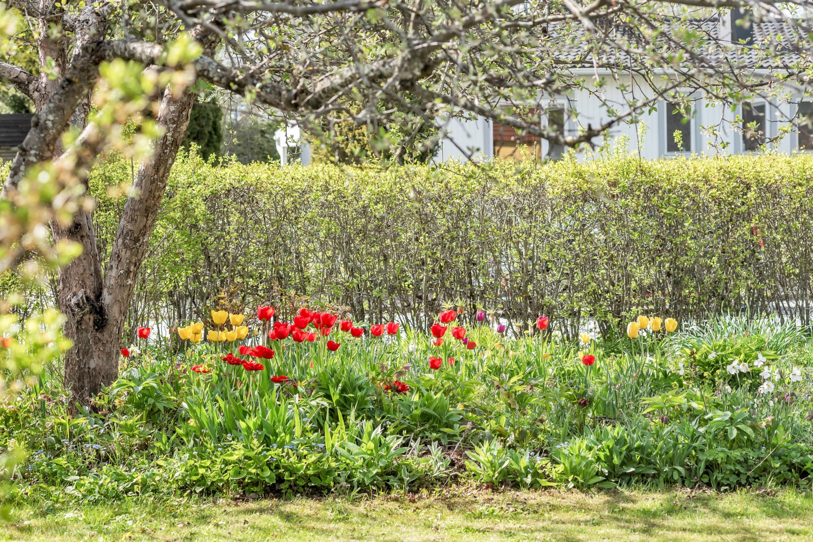 Bostadsbild från Hildvägen 15, Såld i Gamla Uppsala, Uppsala