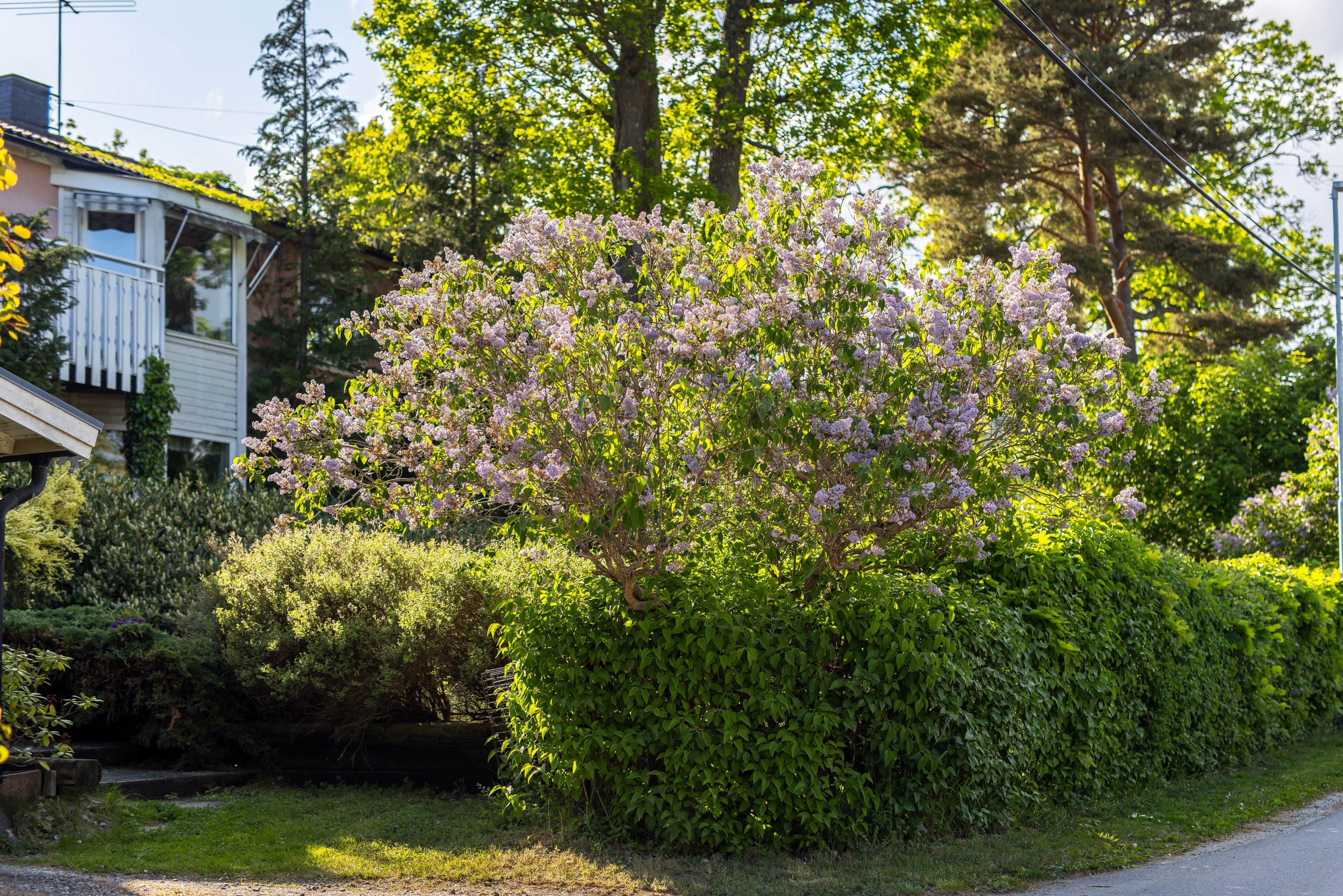 Bostadsbild från Vitsippsvägen 8, Kommande i Solsidan - Saltsjöbaden, Nacka