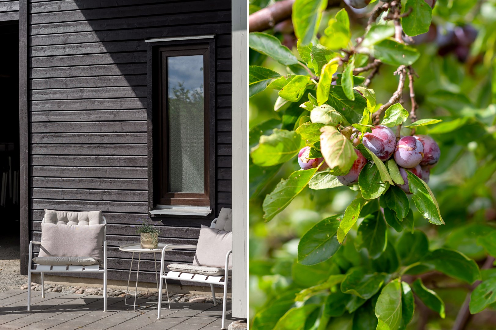 Bostadsbild från Violvägen 6, Kommande i Lövstalöt, Uppsala