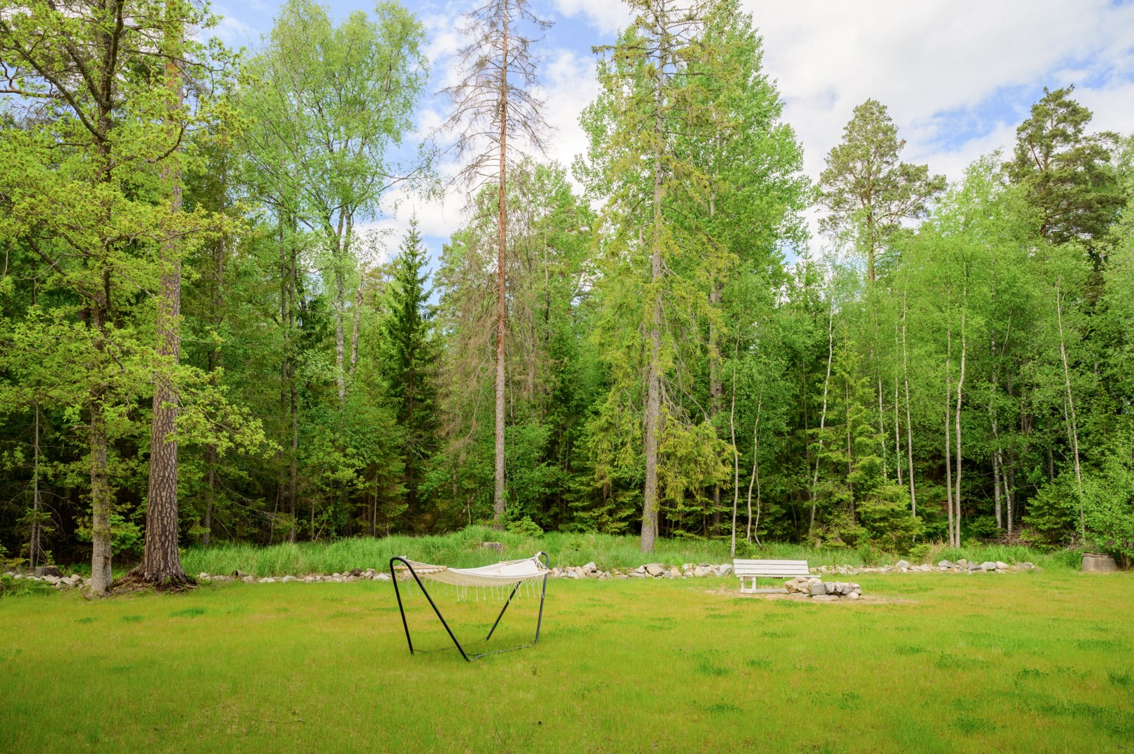 Plana grönytor som övergår i naturskyddsområde