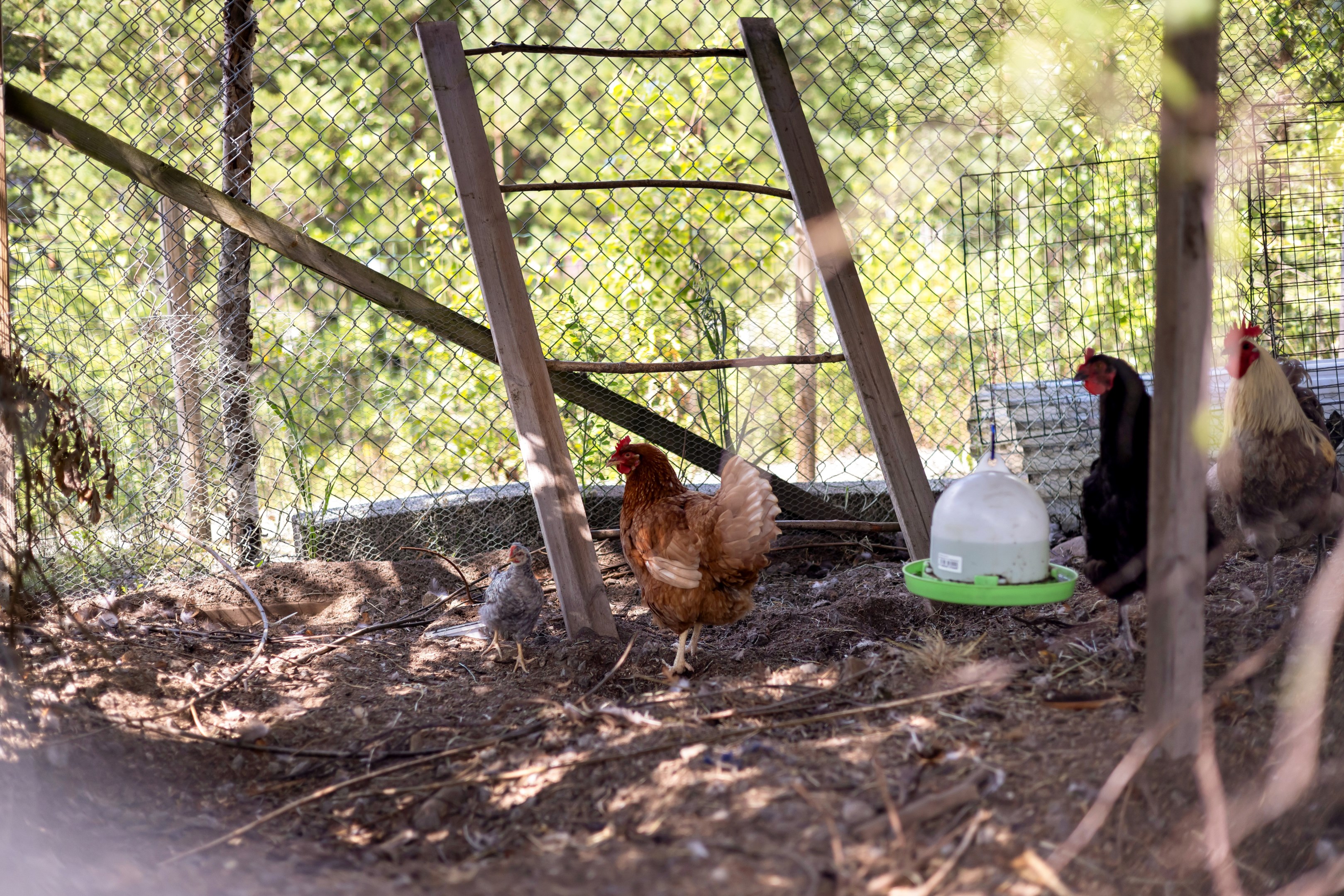 Bostadsbild från Hästskoböjen 7, Kommande i Morgongåva, Heby