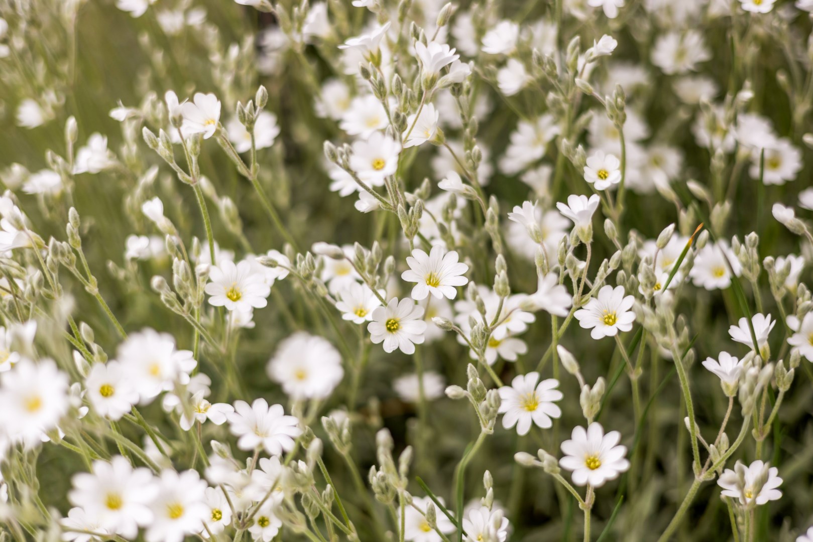 Bostadsbild från Hösträngsvägen 10, Såld i Valsätra, Uppsala