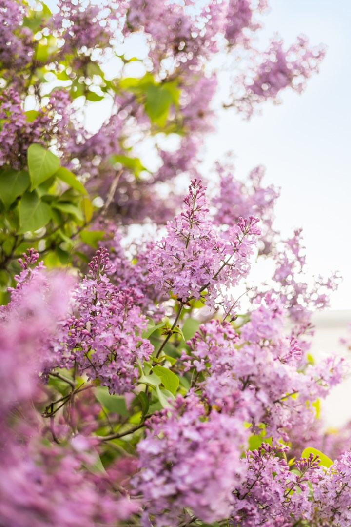 Bostadsbild från Hösträngsvägen 10, Såld i Valsätra, Uppsala