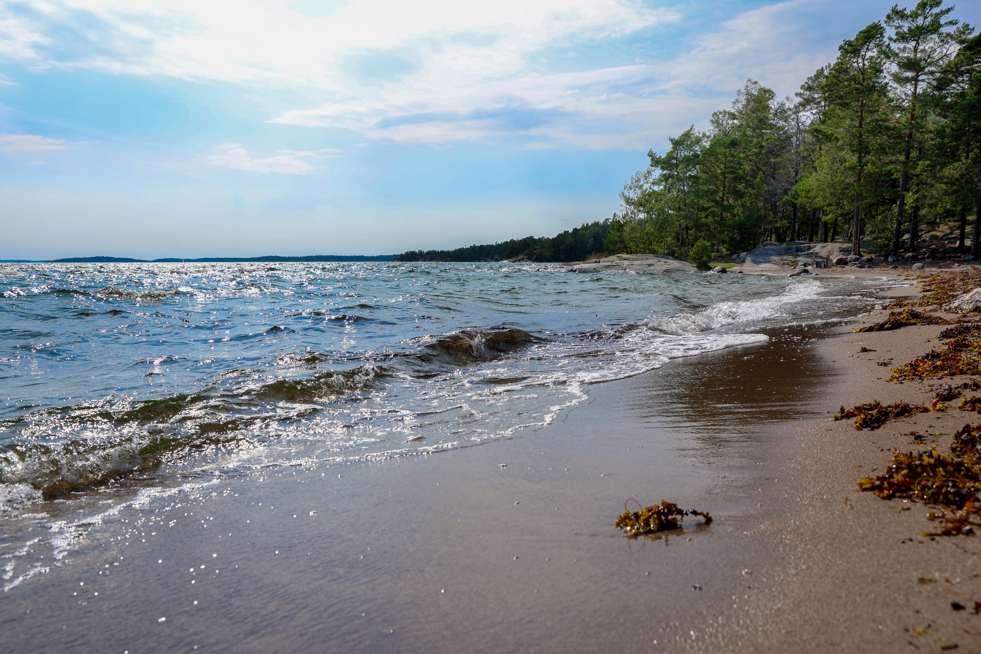 Stranden vid Björkviks brygga.