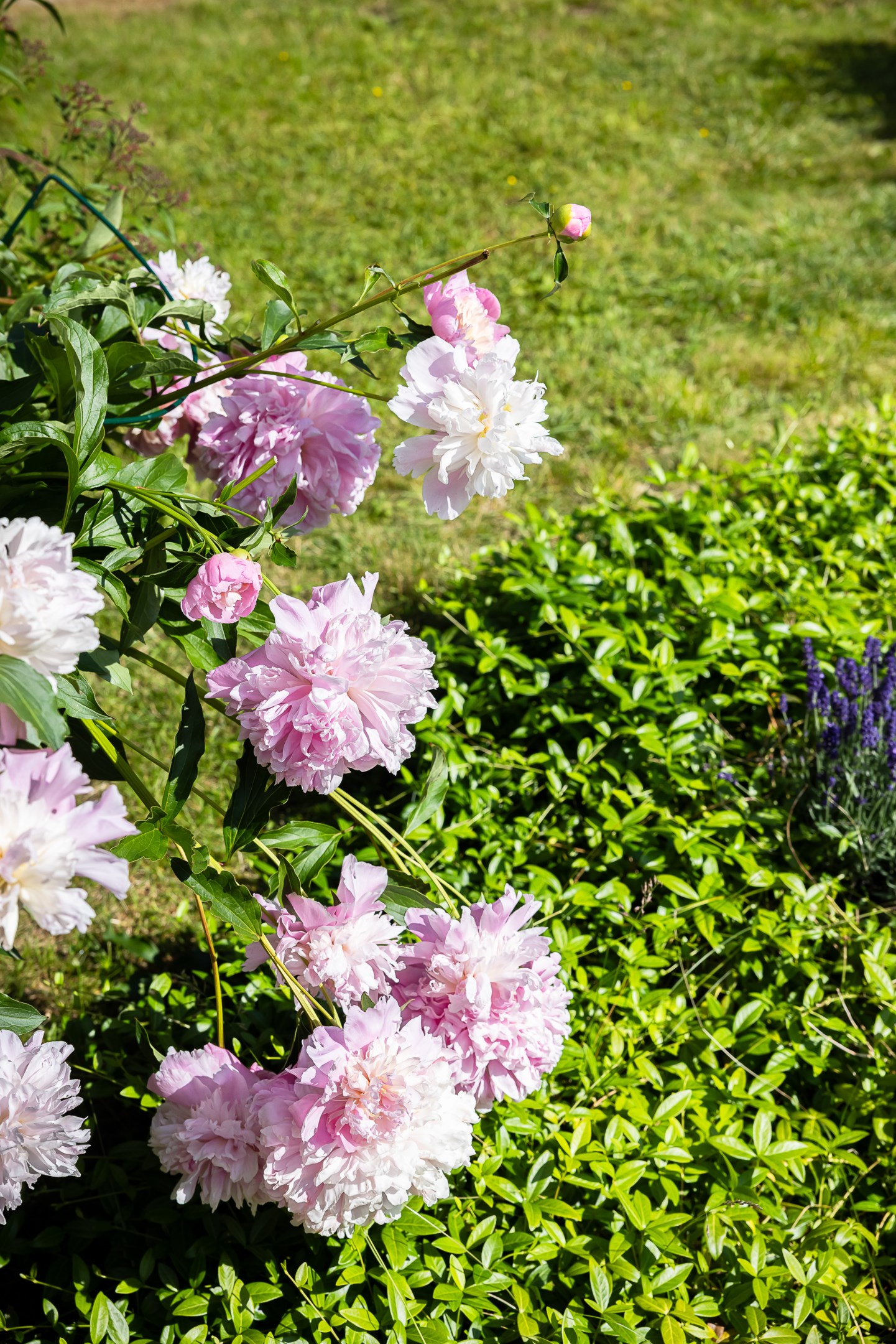 Bostadsbild från Askvägen 2 F, Såld i Sunnersta, Uppsala
