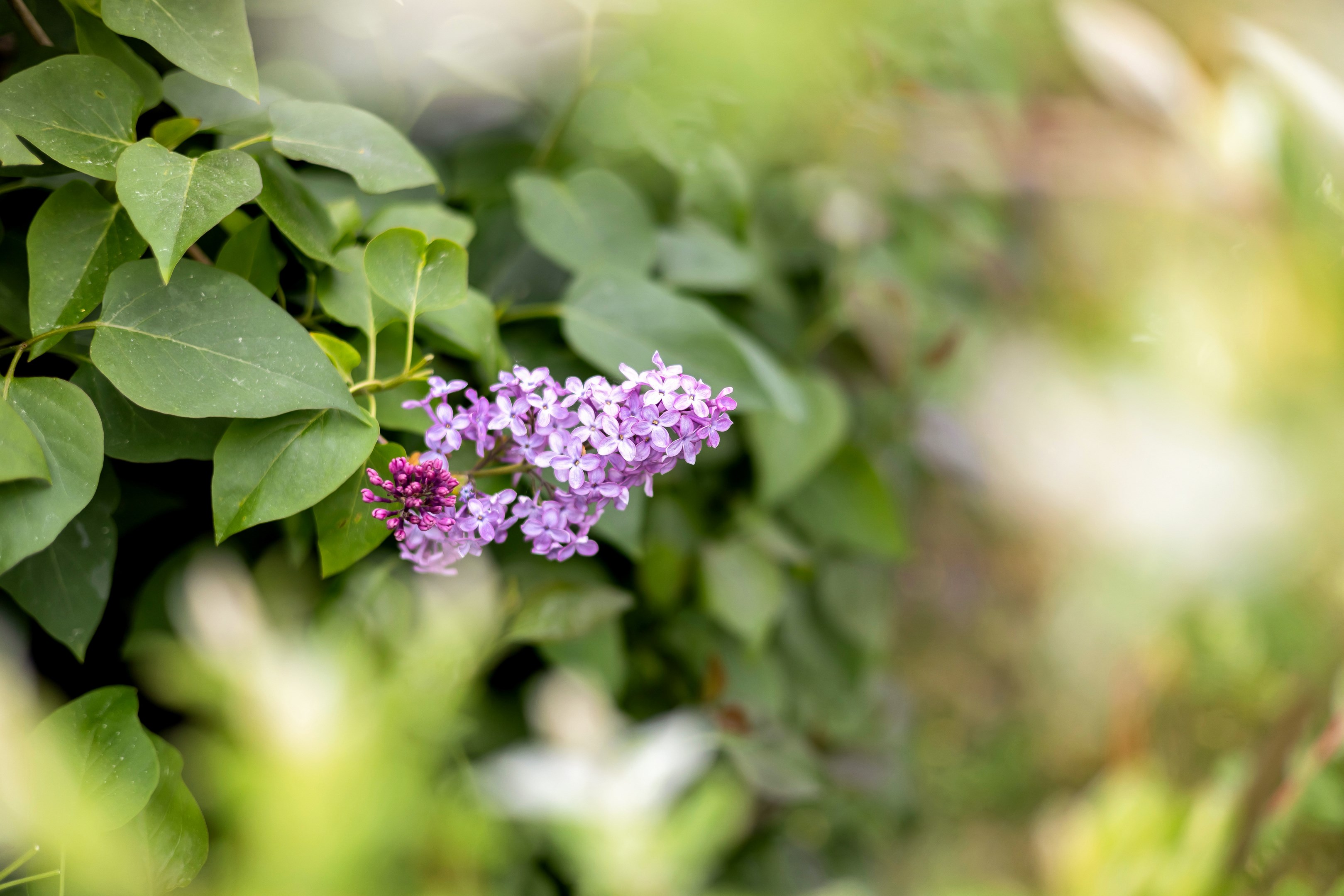 Bostadsbild från Värnlundsgatan 15, Kommande i Nyby, Uppsala