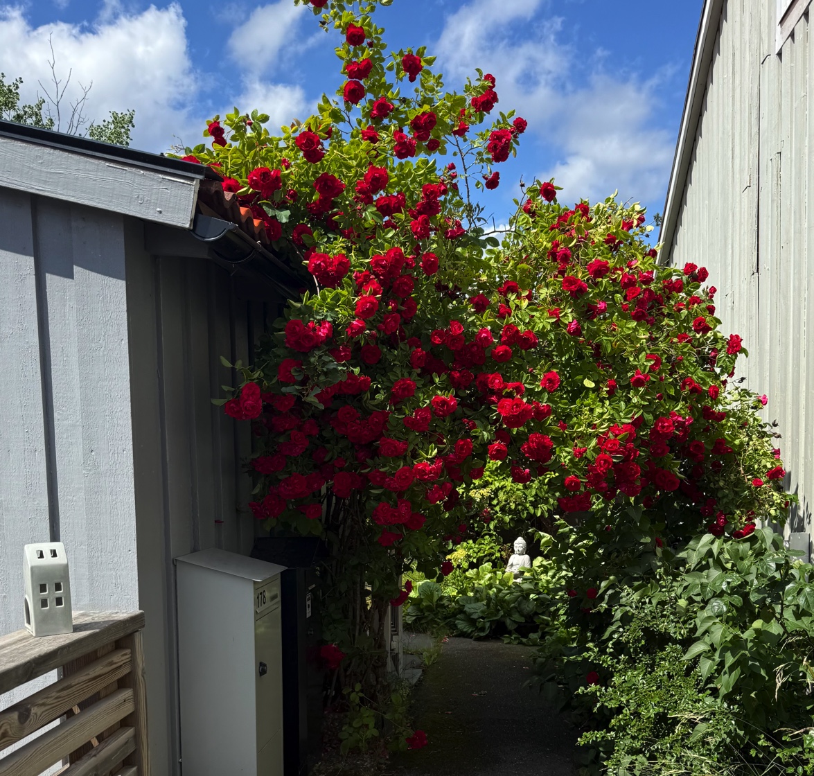 Bostadsbild från Storholmsvägen 178, Till salu i Östra Orminge, Nacka