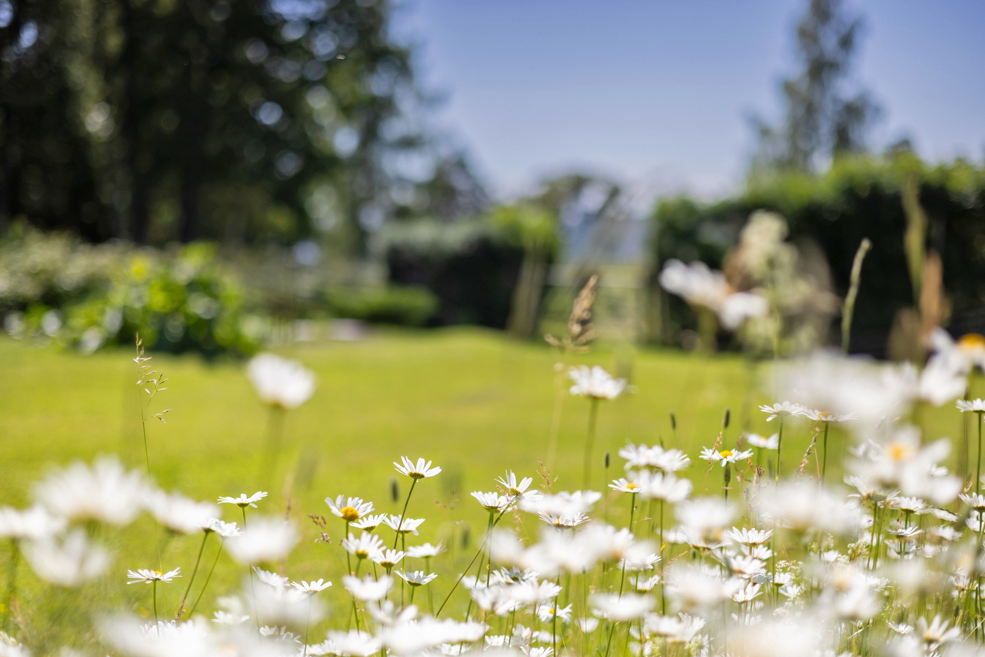 Bostadsbild från Vreta strandväg 50, Såld i Vreta, Uppsala