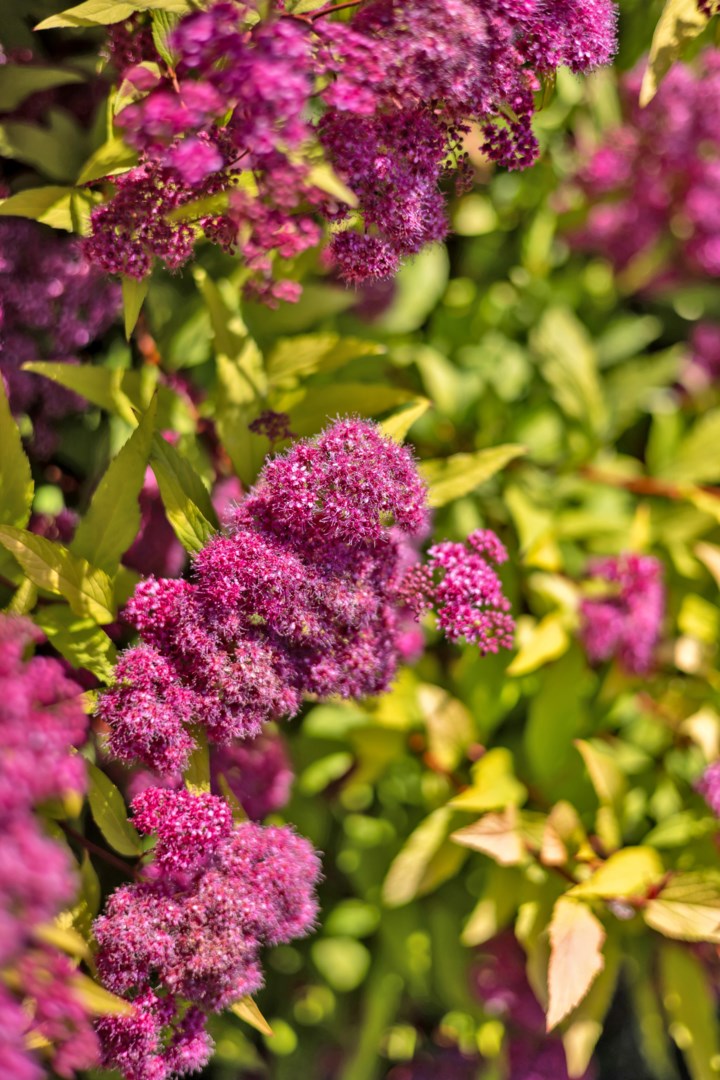 Bostadsbild från Vreta strandväg 50, Såld i Vreta, Uppsala