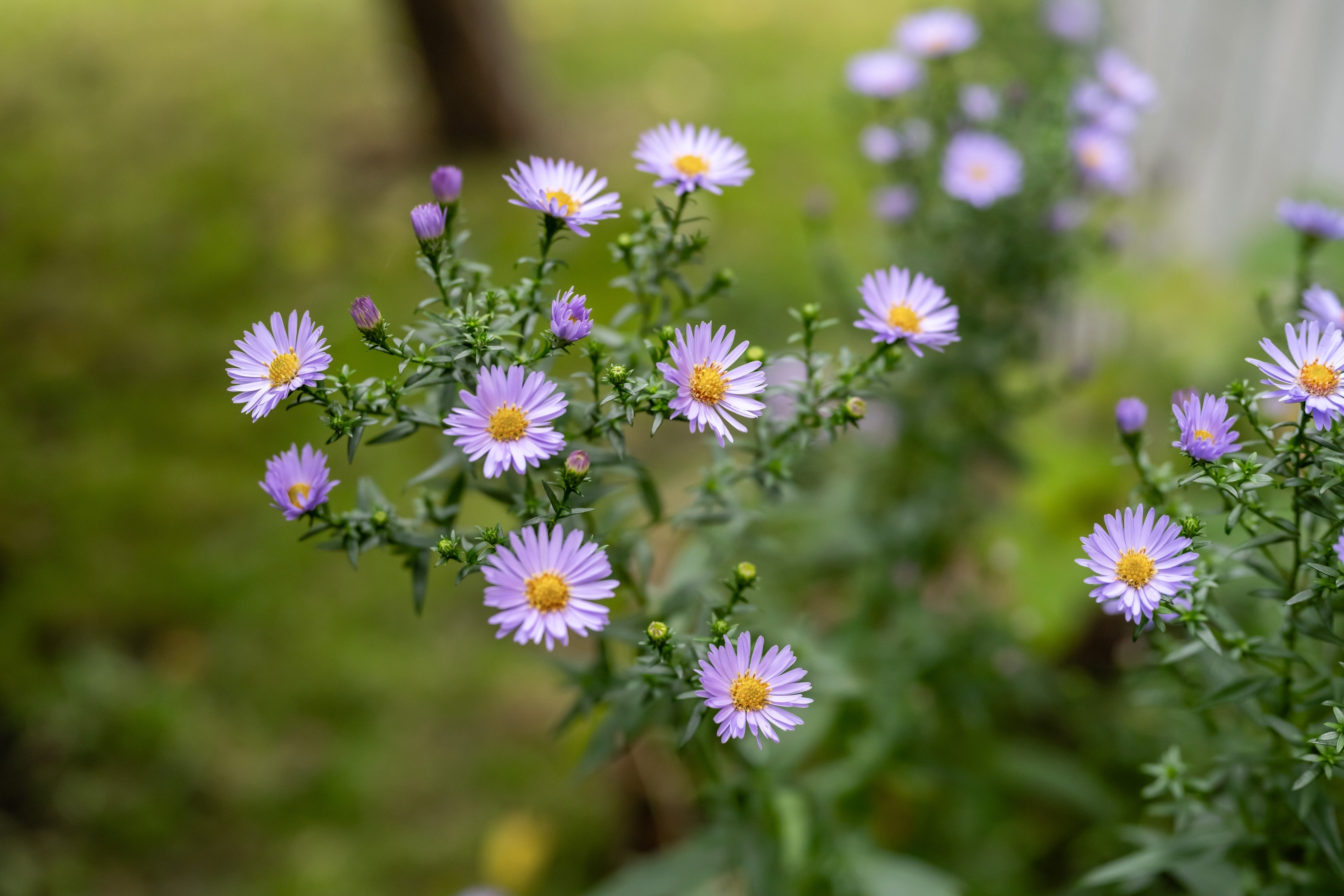 Bostadsbild från Sömnadsvägen 19, Såld i Nåntuna, Uppsala