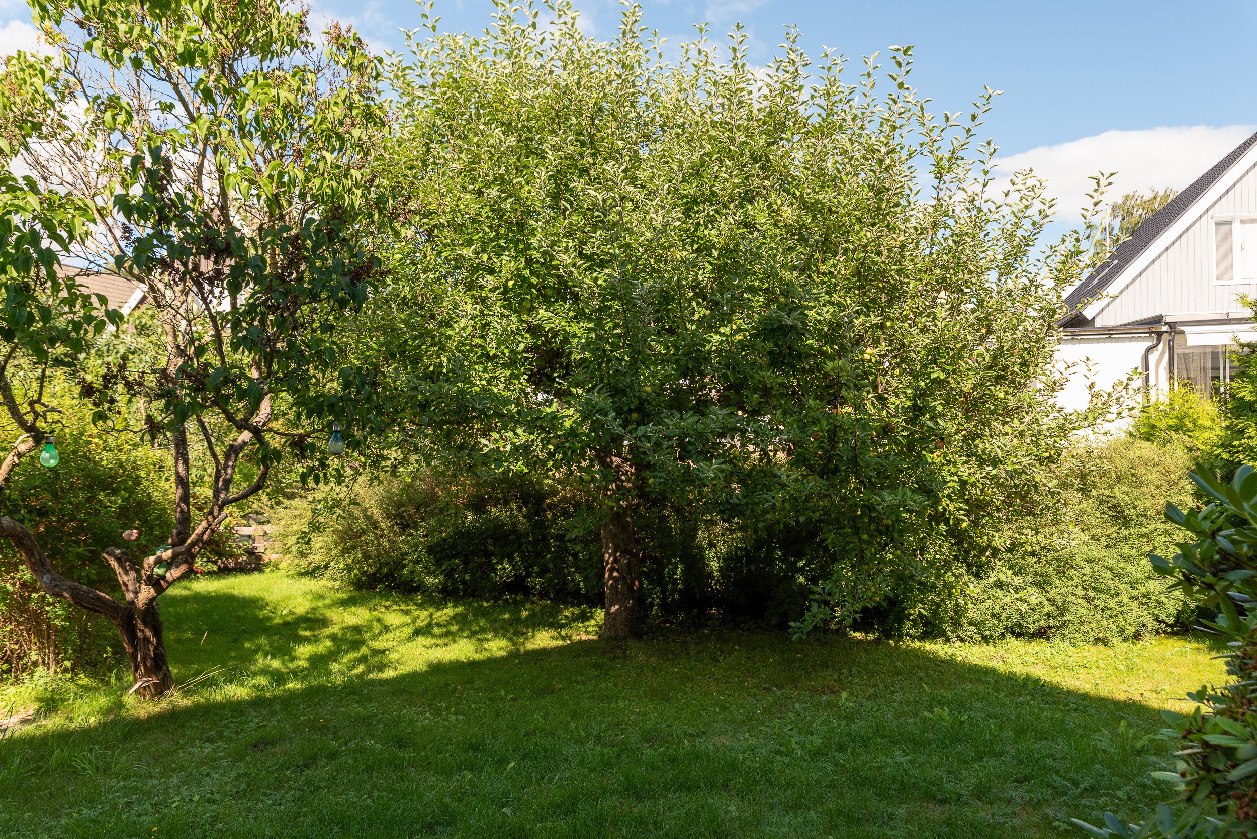 Bostadsbild från Skördegatan 6, Till salu i Hammarby, Västerås