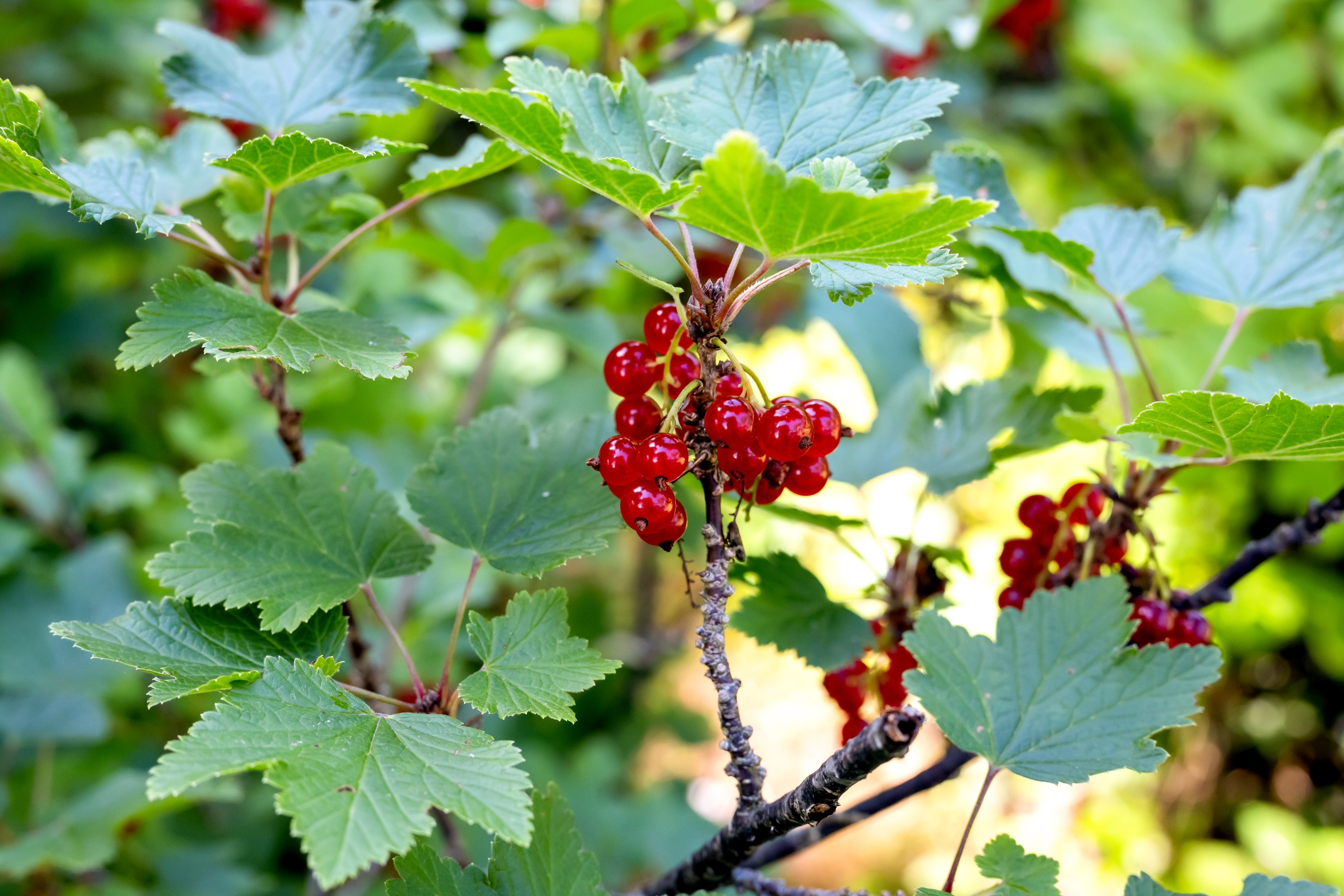 Bostadsbild från Krusenberg Aludden 236, Såld i Krusenberg, Knivsta
