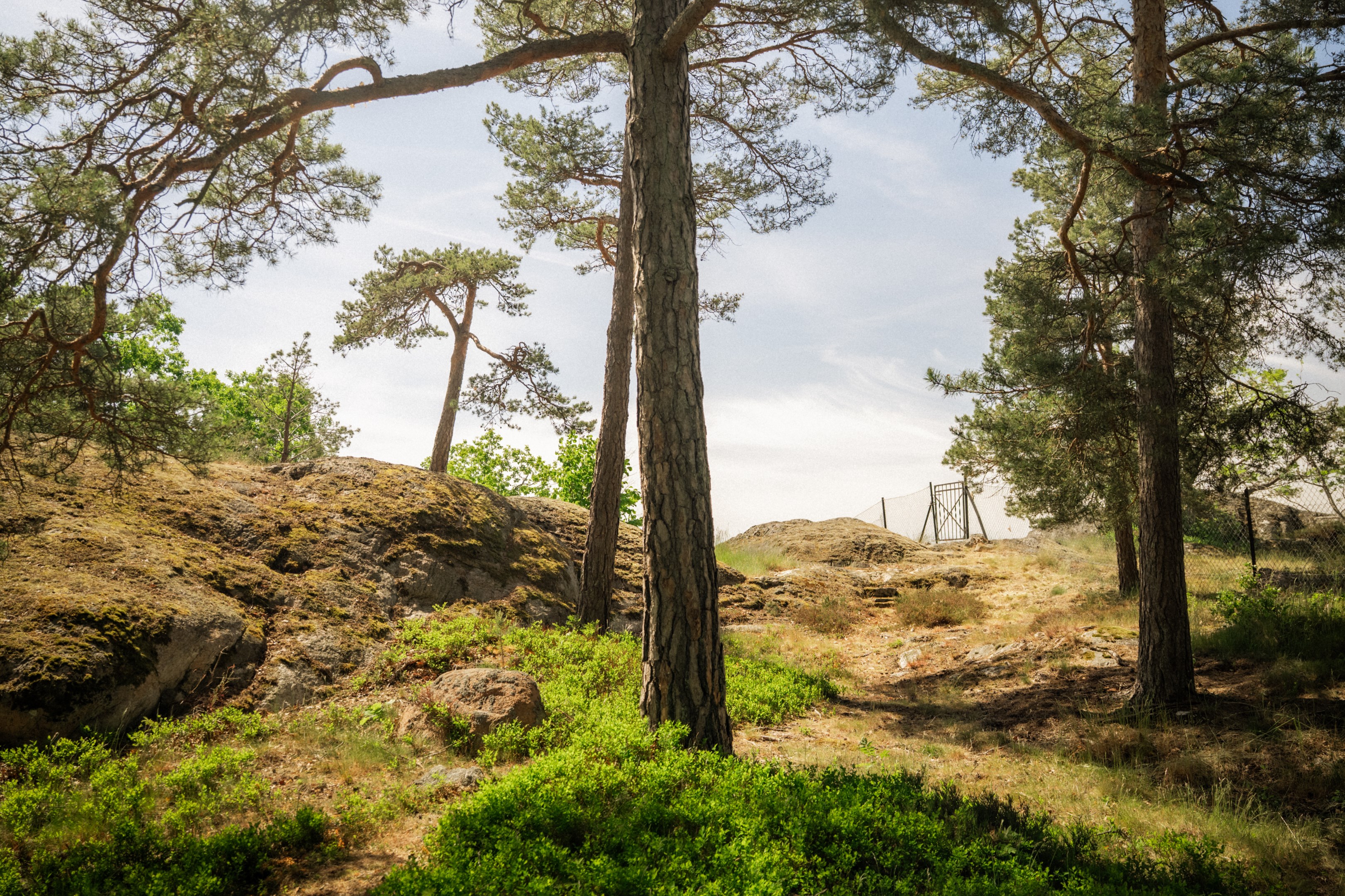 Bostadsbild från Talluddsvägen 9, Såld i Lilla Björknäs, Nacka
