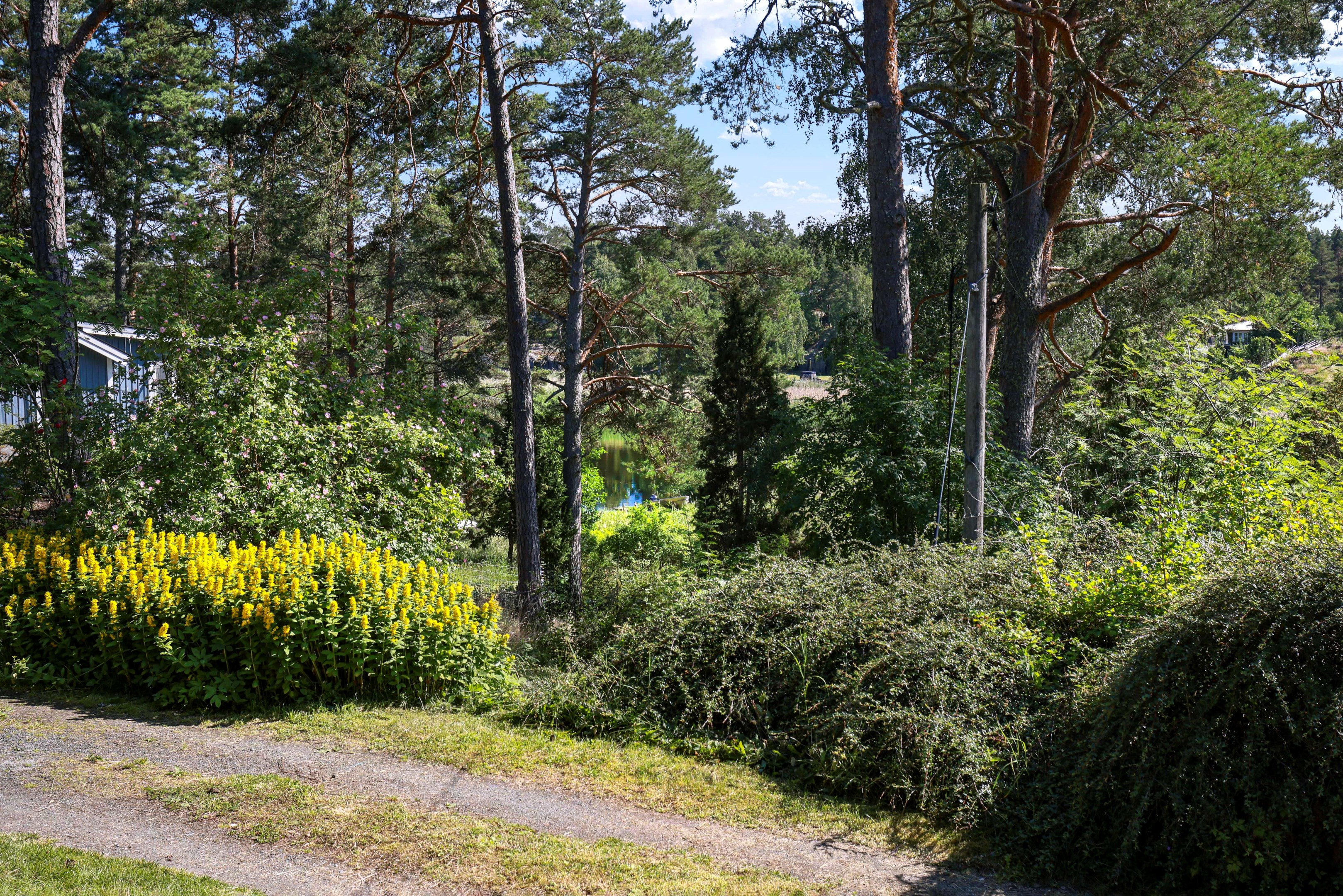 Bostadsbild från Bjurövägen 5, Kommande i Gräsö, Östhammar