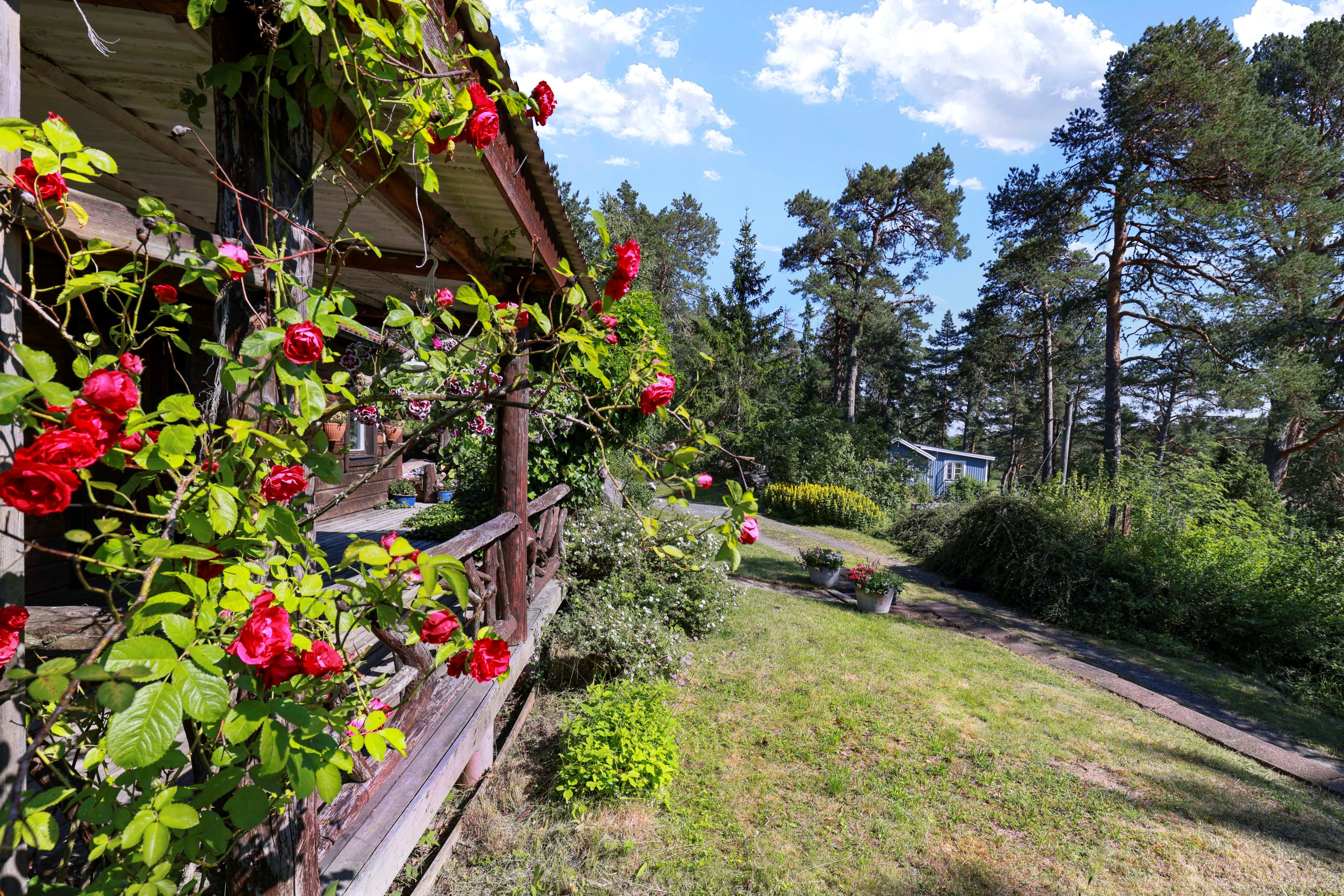Bostadsbild från Bjurövägen 5, Kommande i Gräsö, Östhammar
