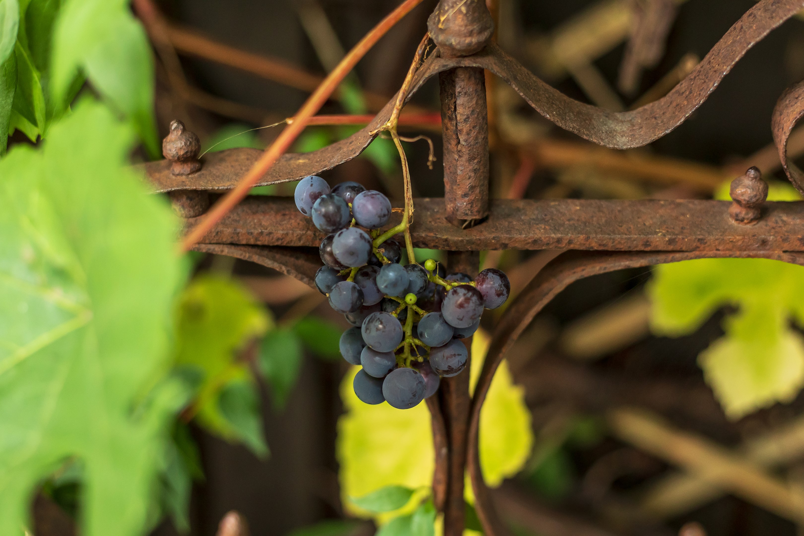 Bostadsbild från Notgatan 4, Såld i Fiskarhöjden - Saltsjöbaden, Nacka