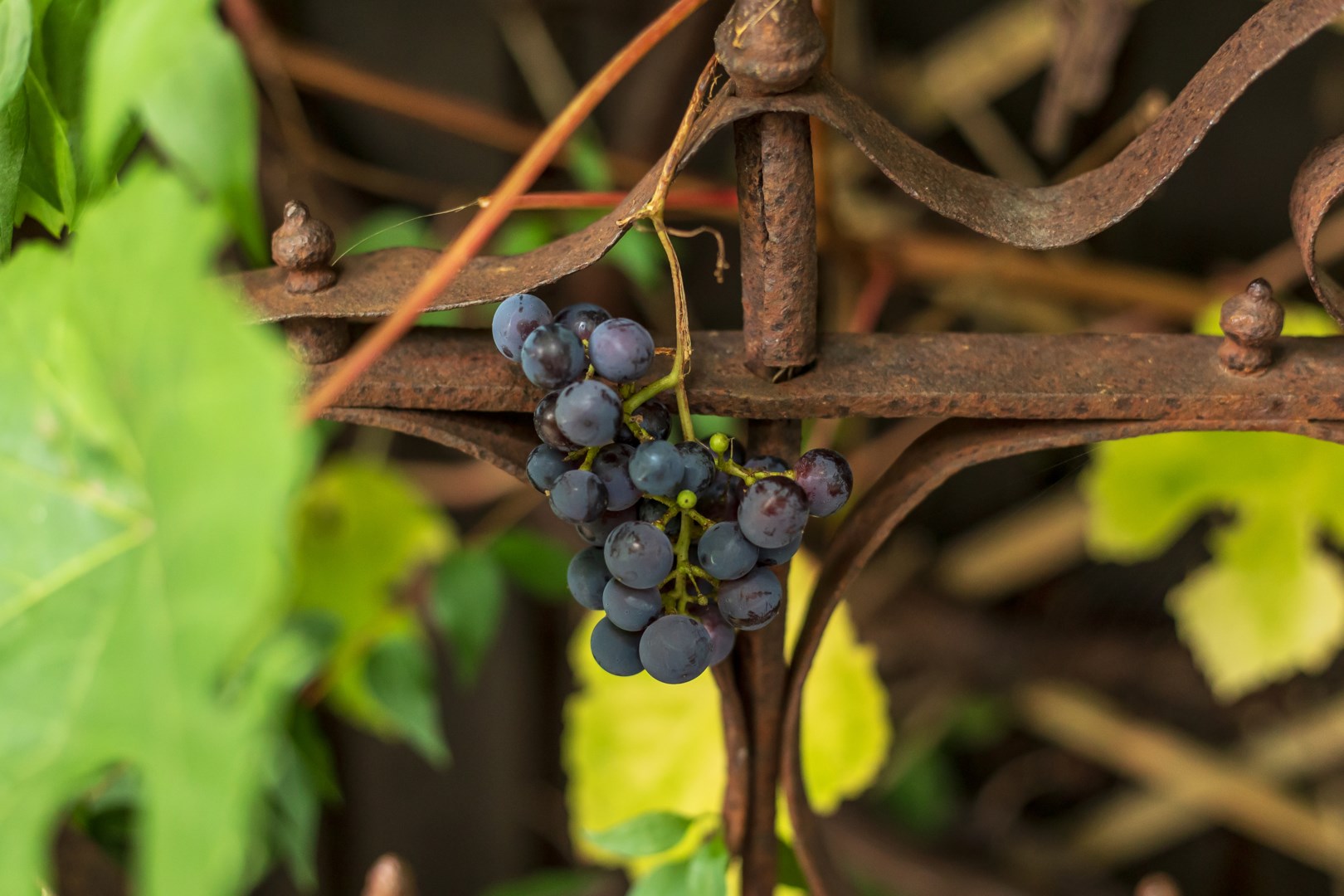 Bostadsbild från Notgatan 4, Kommande i Fiskarhöjden - Saltsjöbaden, Nacka