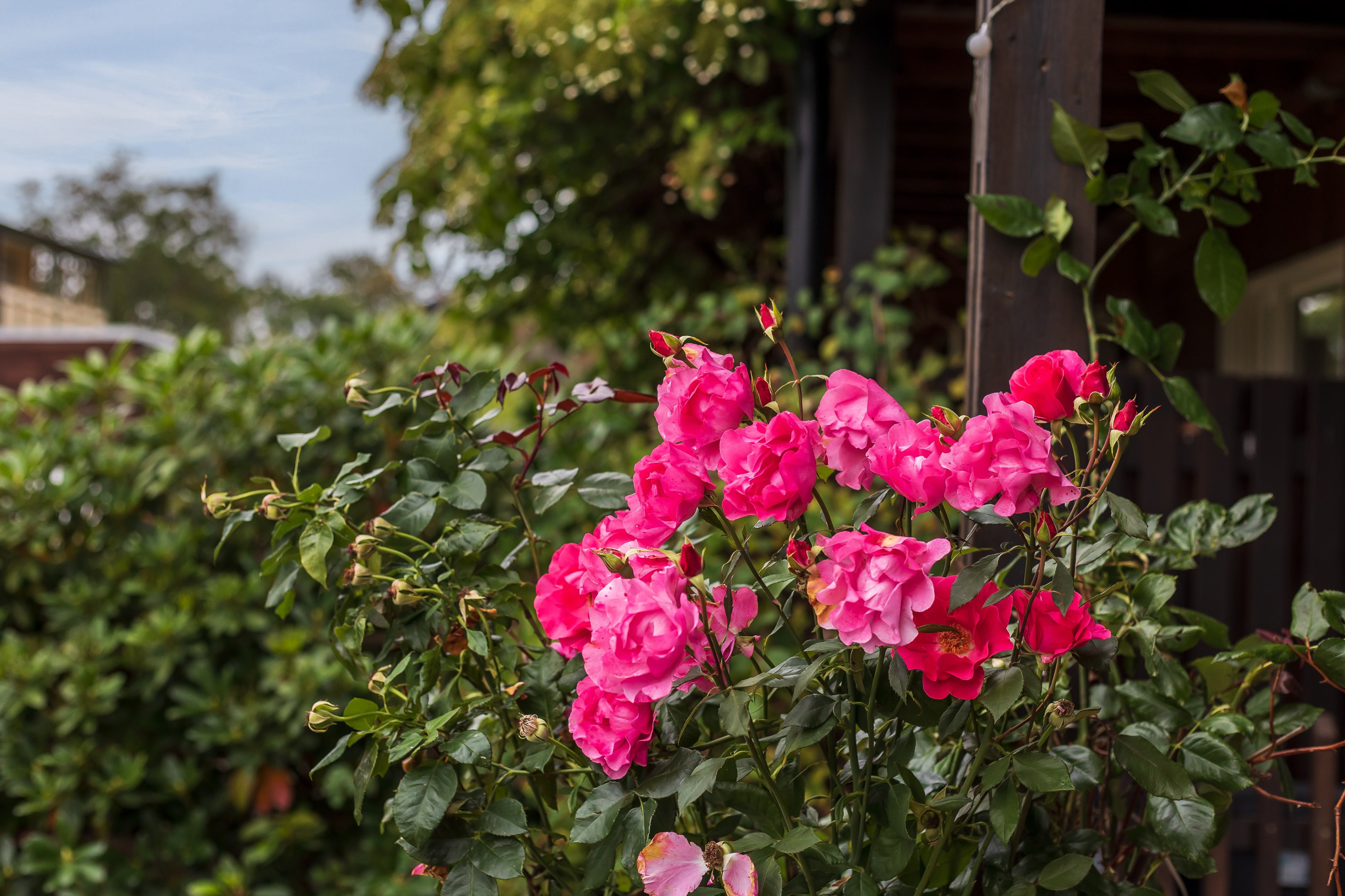 Bostadsbild från Notgatan 4, Såld i Fiskarhöjden - Saltsjöbaden, Nacka