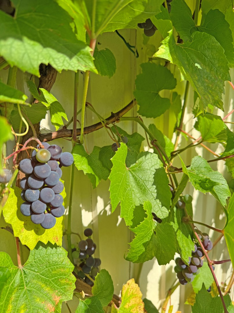 Bostadsbild från Solhems hagväg 178, Kommande i Spånga - Solhem, Stockholm