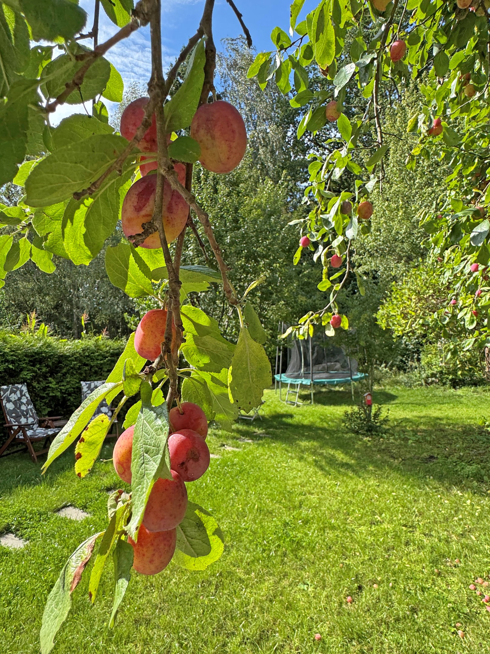 Bostadsbild från Solhems hagväg 178, Kommande i Spånga - Solhem, Stockholm