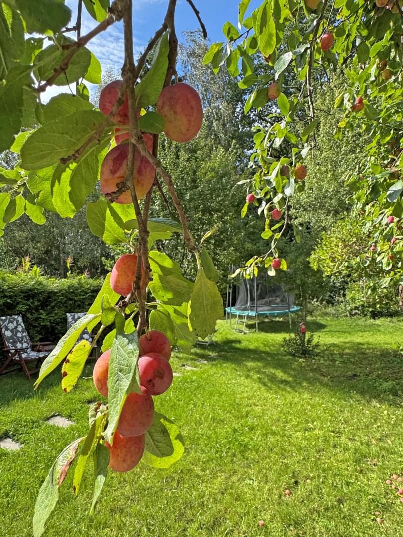 Bostadsbild från Solhems hagväg 178, Kommande i Spånga - Solhem, Stockholm