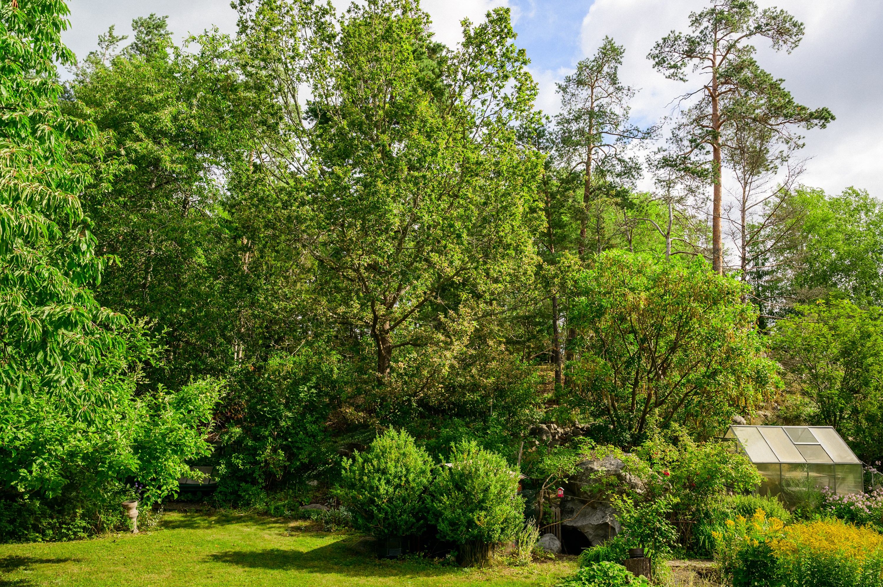 Trädgård med växthus och odlingsmöjligheter