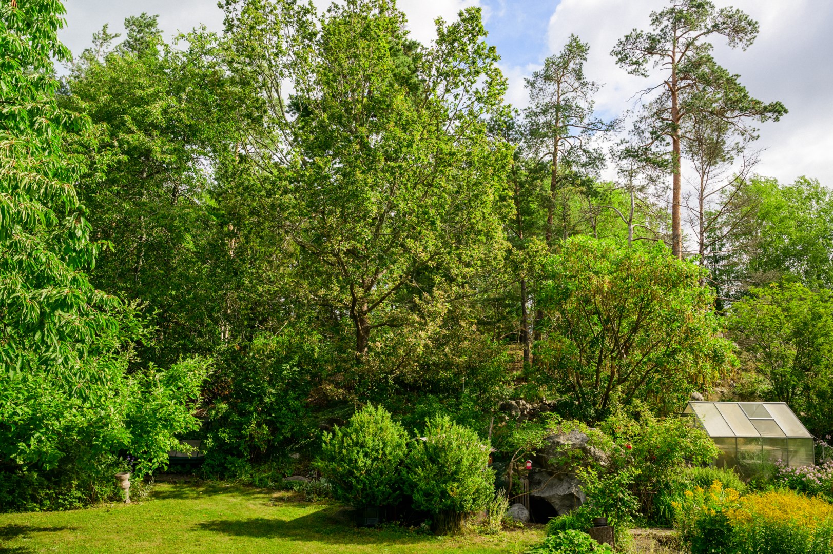 Trädgård med växthus och odlingsmöjligheter