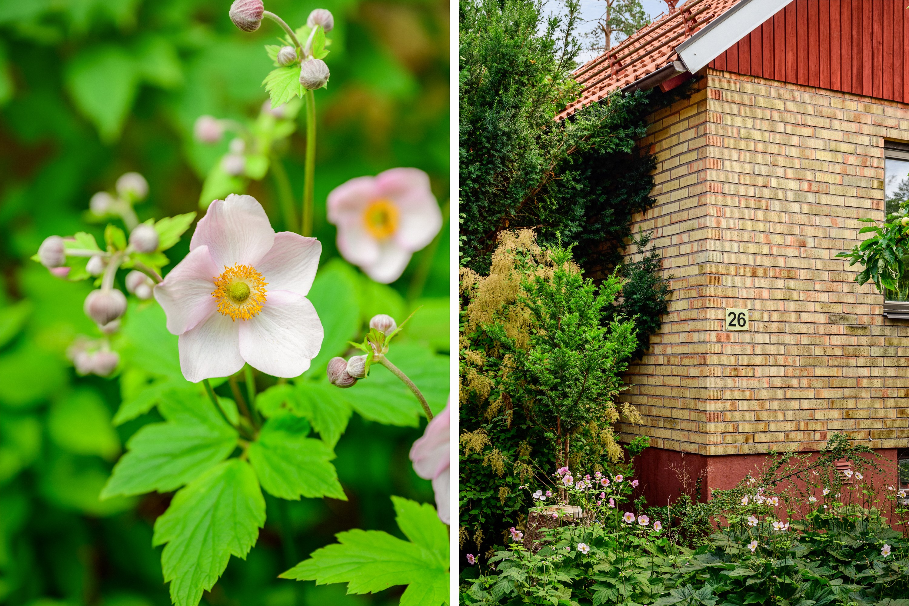 Bostadsbild från Renvägen 26, Såld i Lugnet, Värmdö