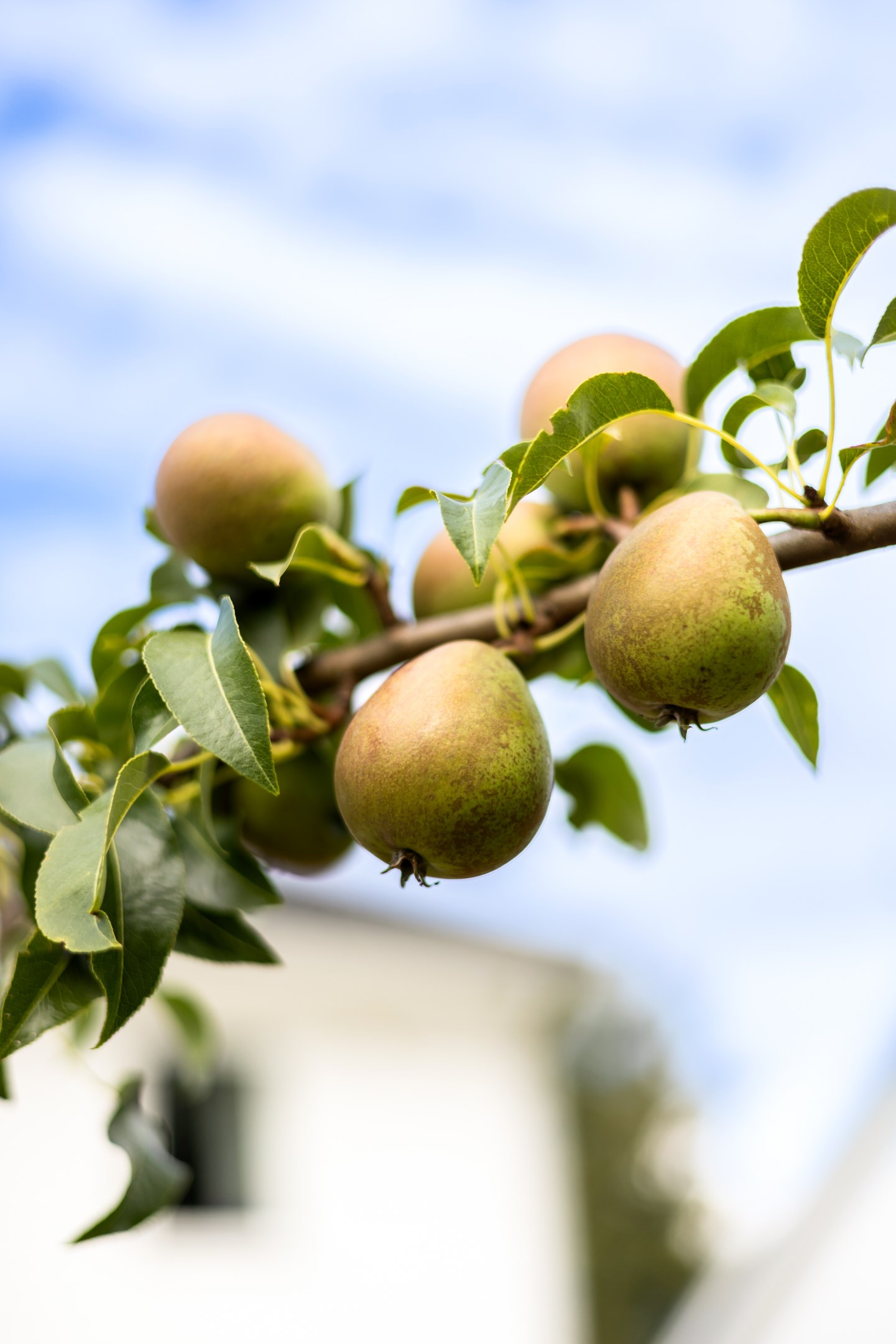 Bostadsbild från Dag Hammarskjölds väg 244B, Såld i Sunnersta, Uppsala