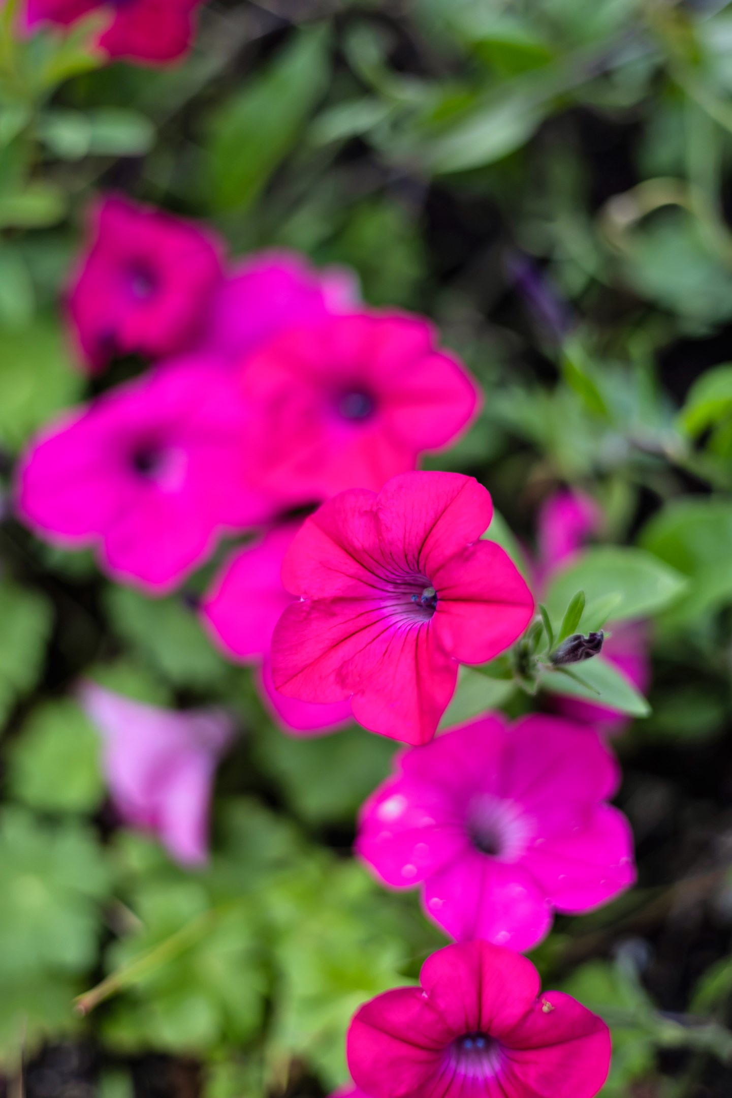 Bostadsbild från Dag Hammarskjölds väg 244B, Såld i Sunnersta, Uppsala