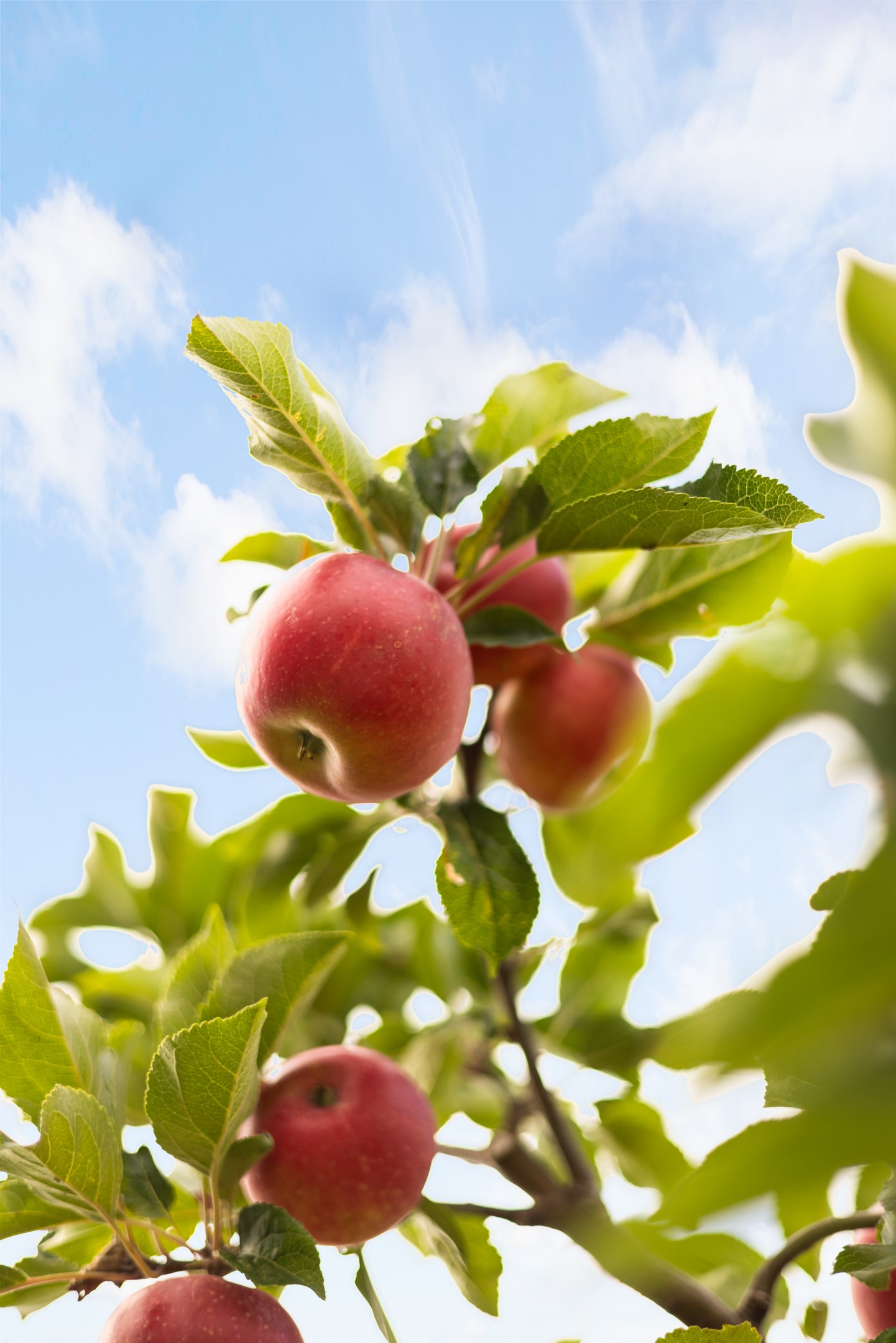 Bostadsbild från Dag Hammarskjölds väg 244B, Såld i Sunnersta, Uppsala