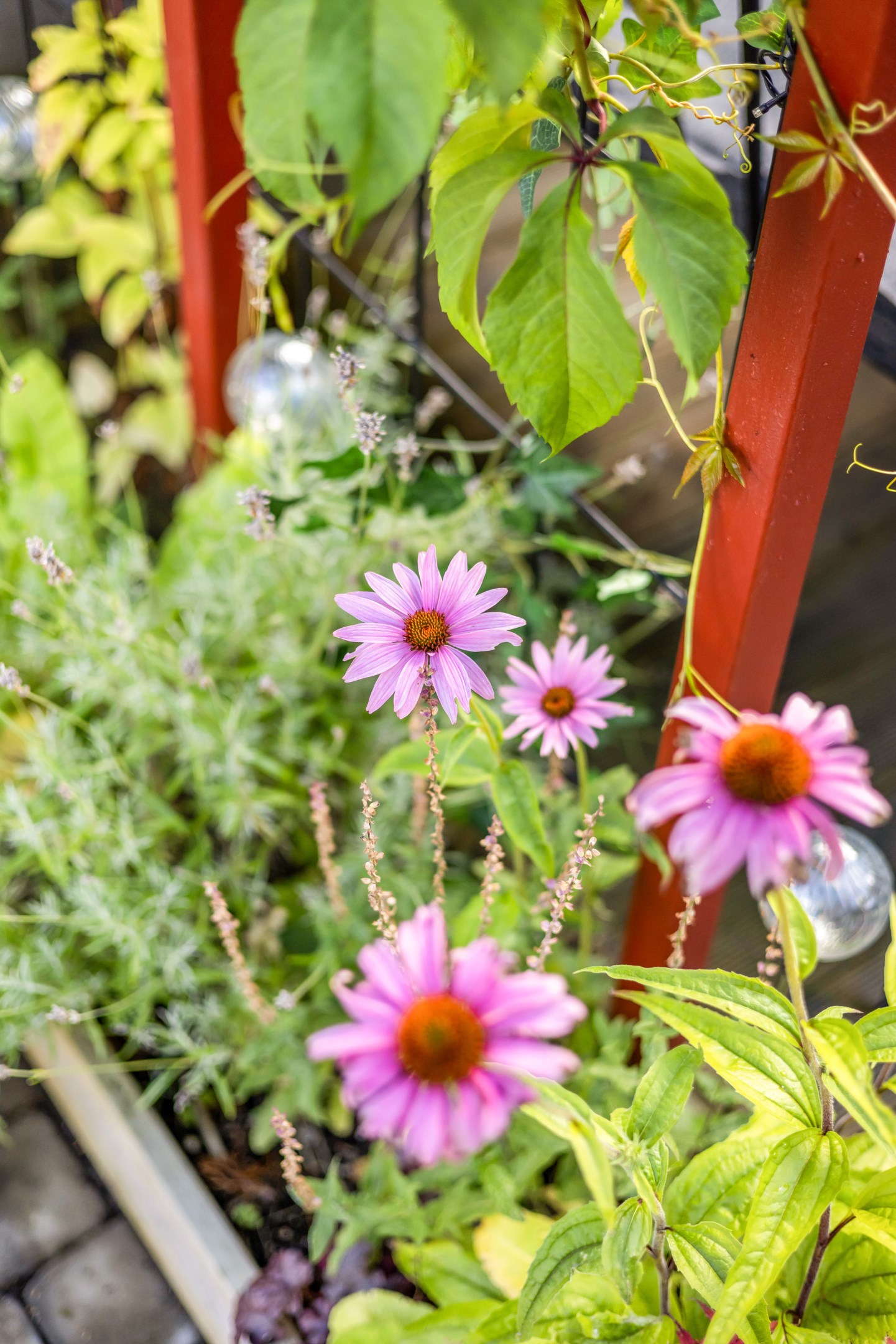 Bostadsbild från Börjegatan 41D, Kommande i Luthagen, Uppsala