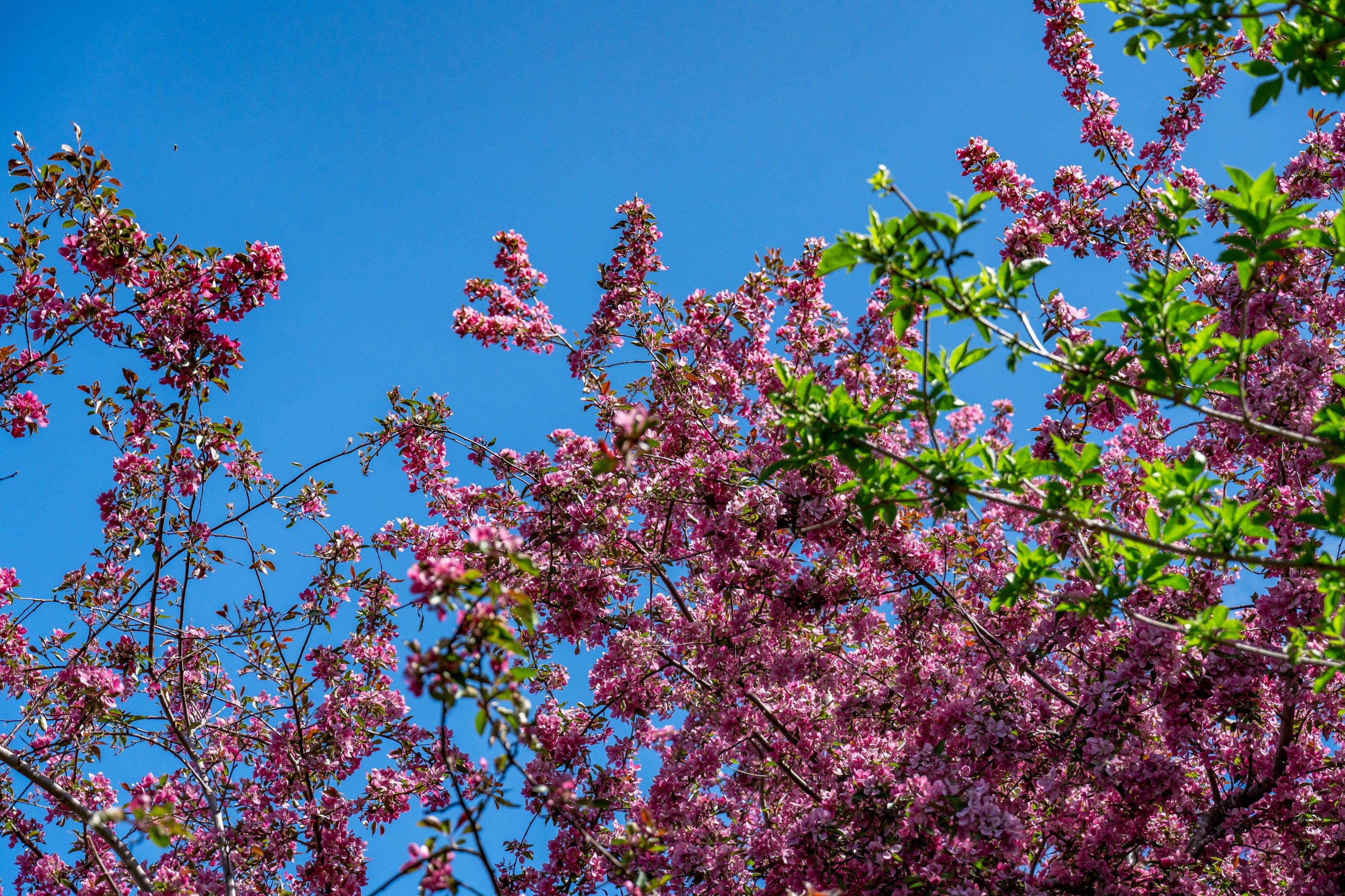 Bostadsbild från Kadettgatan 3, Såld i Bärby Hage, Uppsala