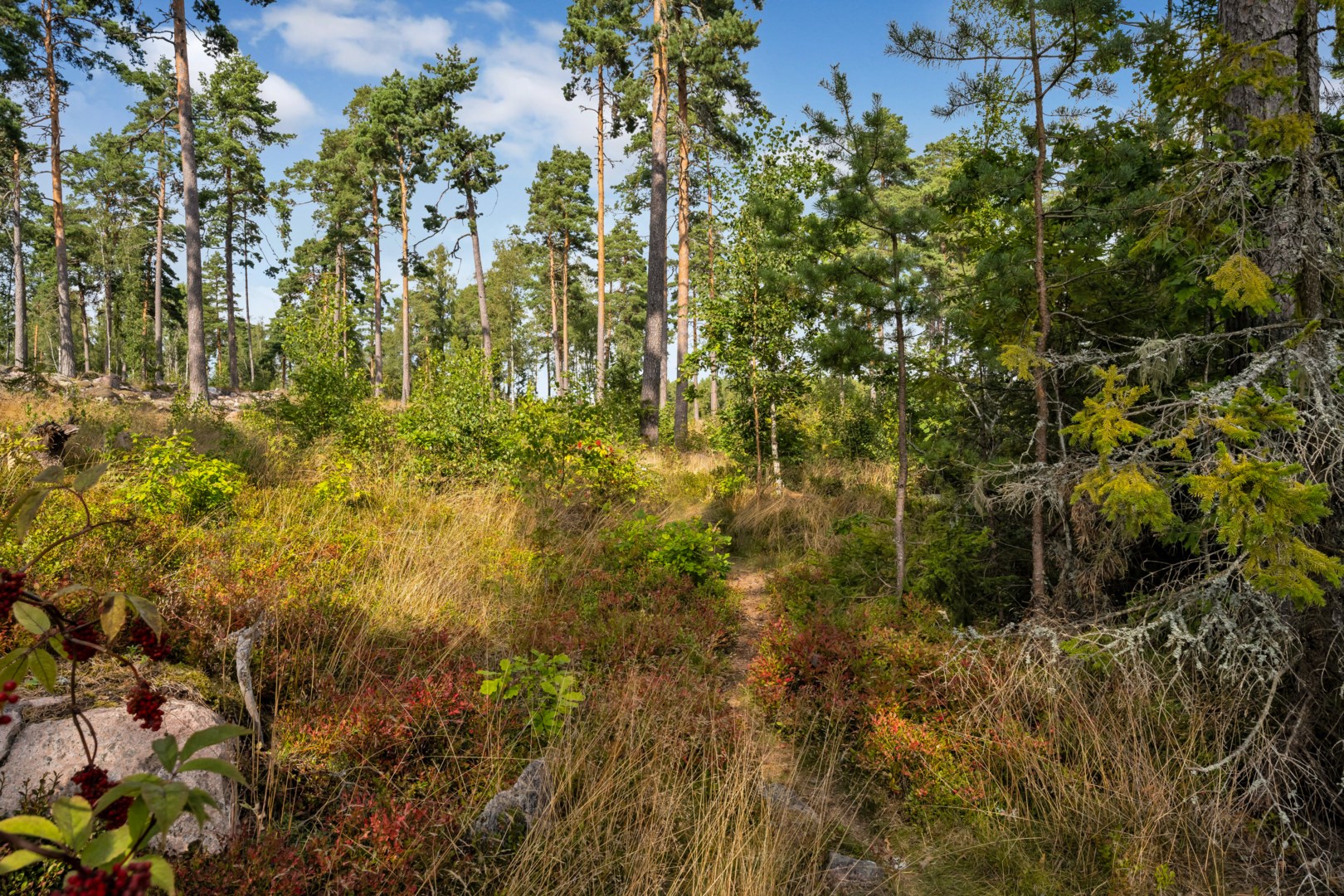Bostadsbild från Lilla Ålbo 19, Såld i Vänge, Uppsala