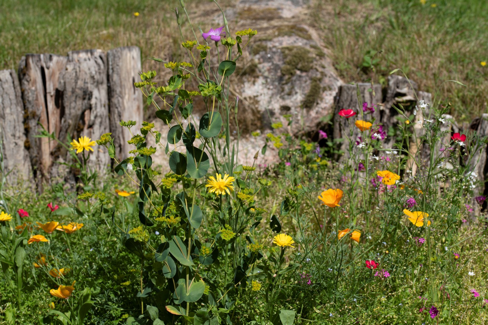 Säljarens egna bild