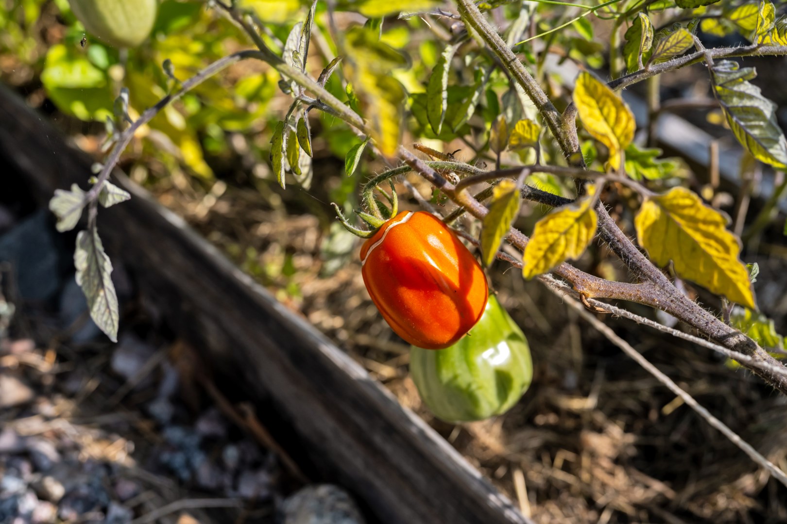 Bostadsbild från Lilla Ålbo 19, Såld i Vänge, Uppsala