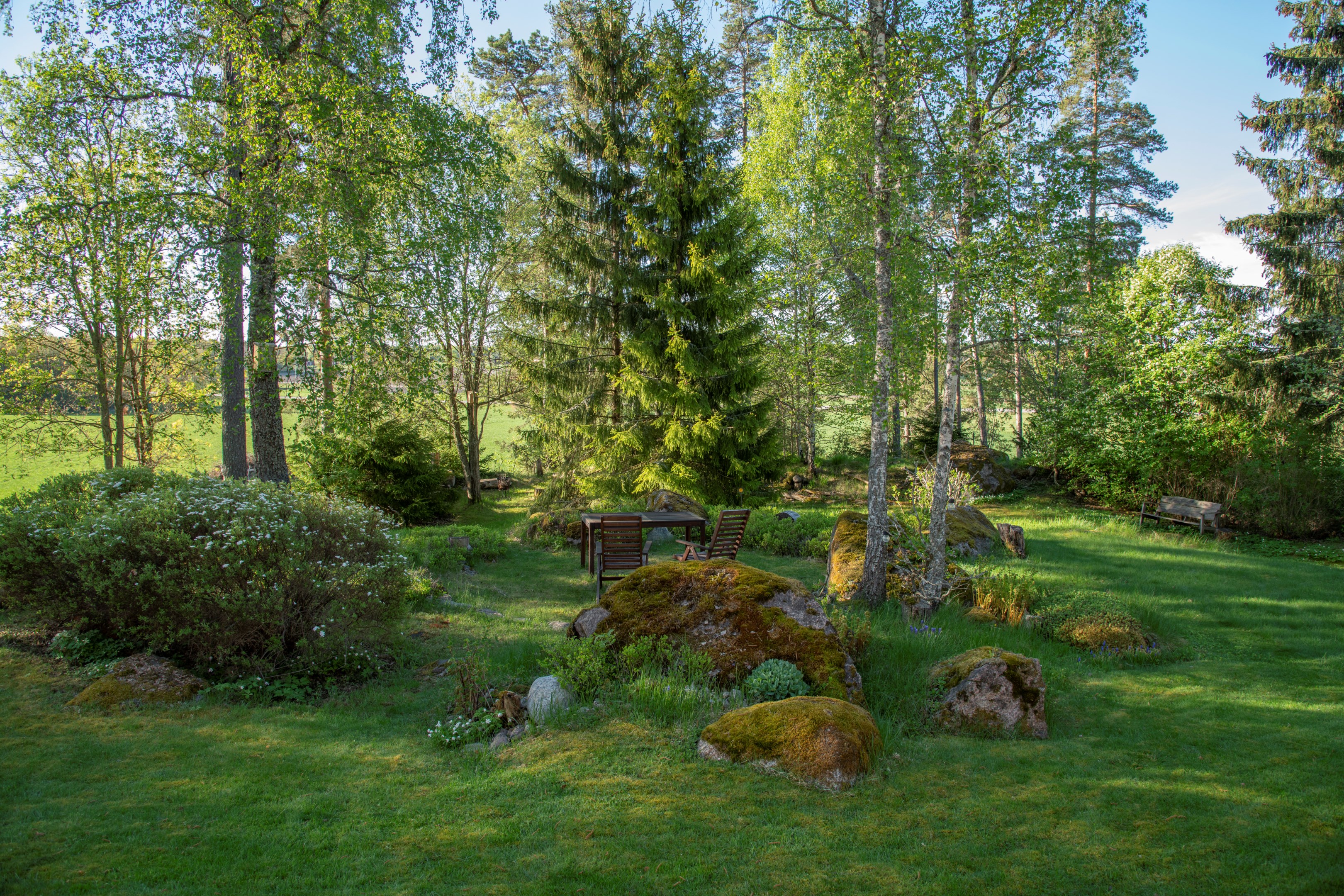 Säljarens egna bild