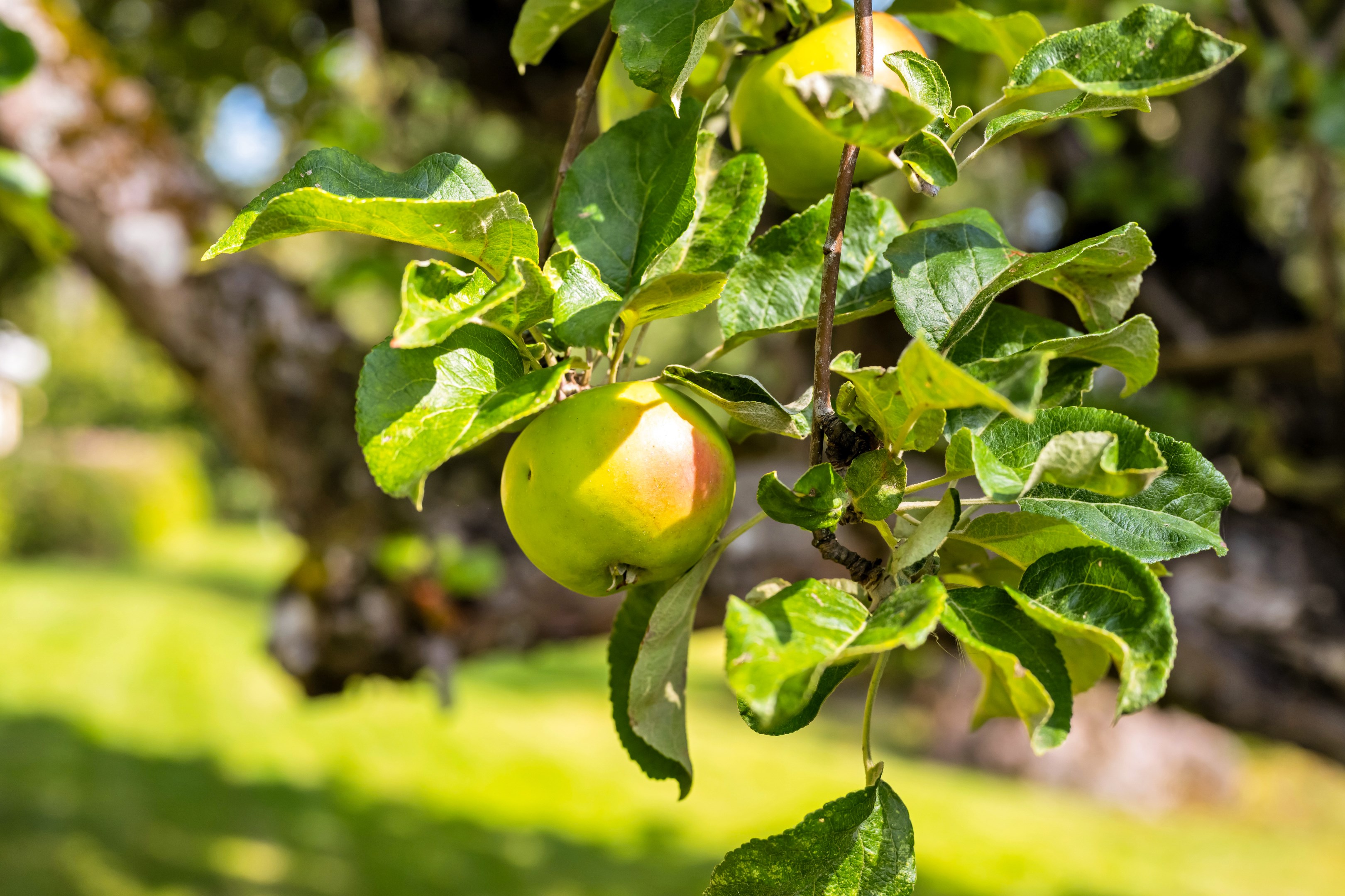 Bostadsbild från Lilla Ålbo 19, Såld i Vänge, Uppsala