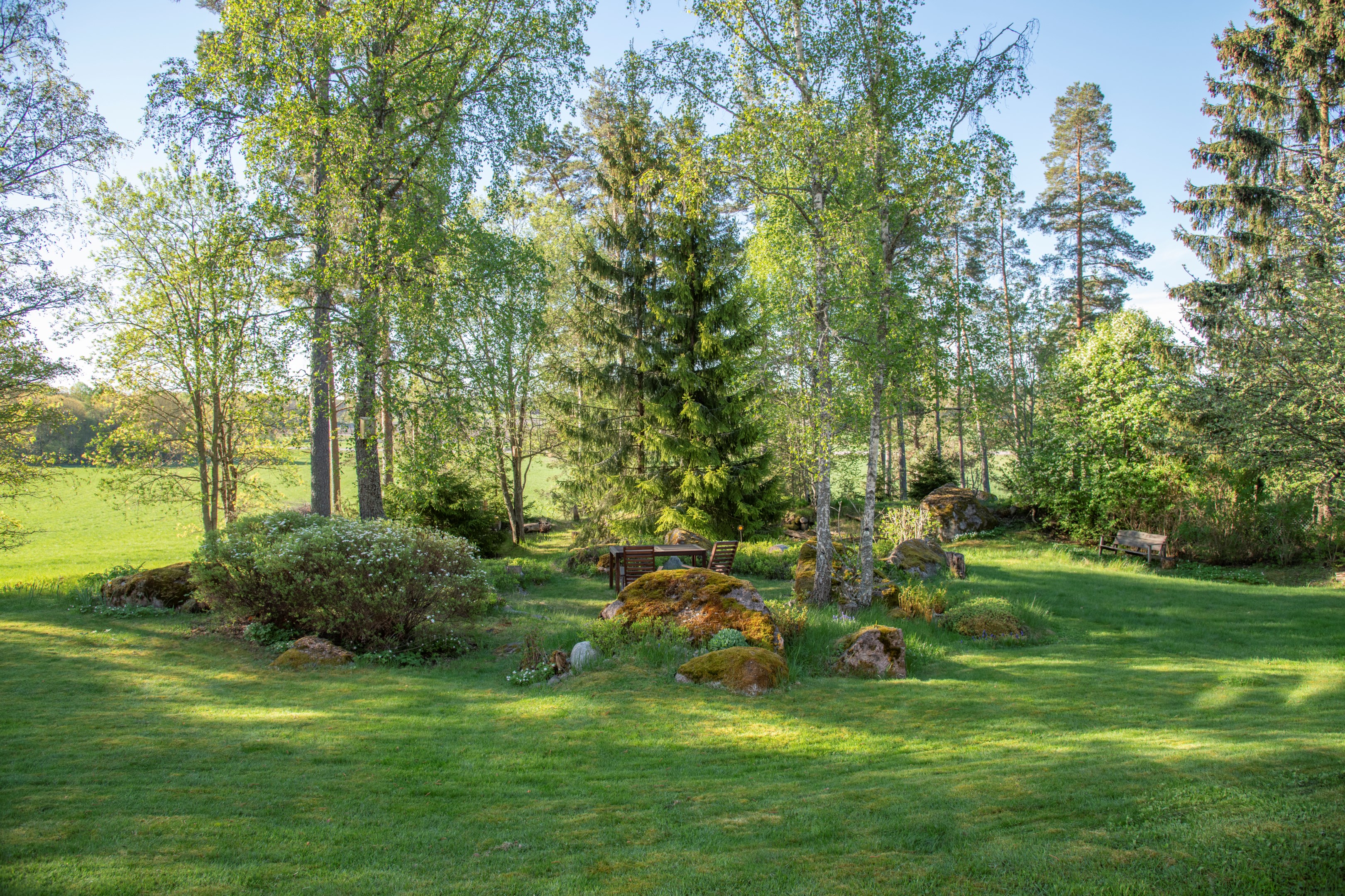 Säljarens egna bild