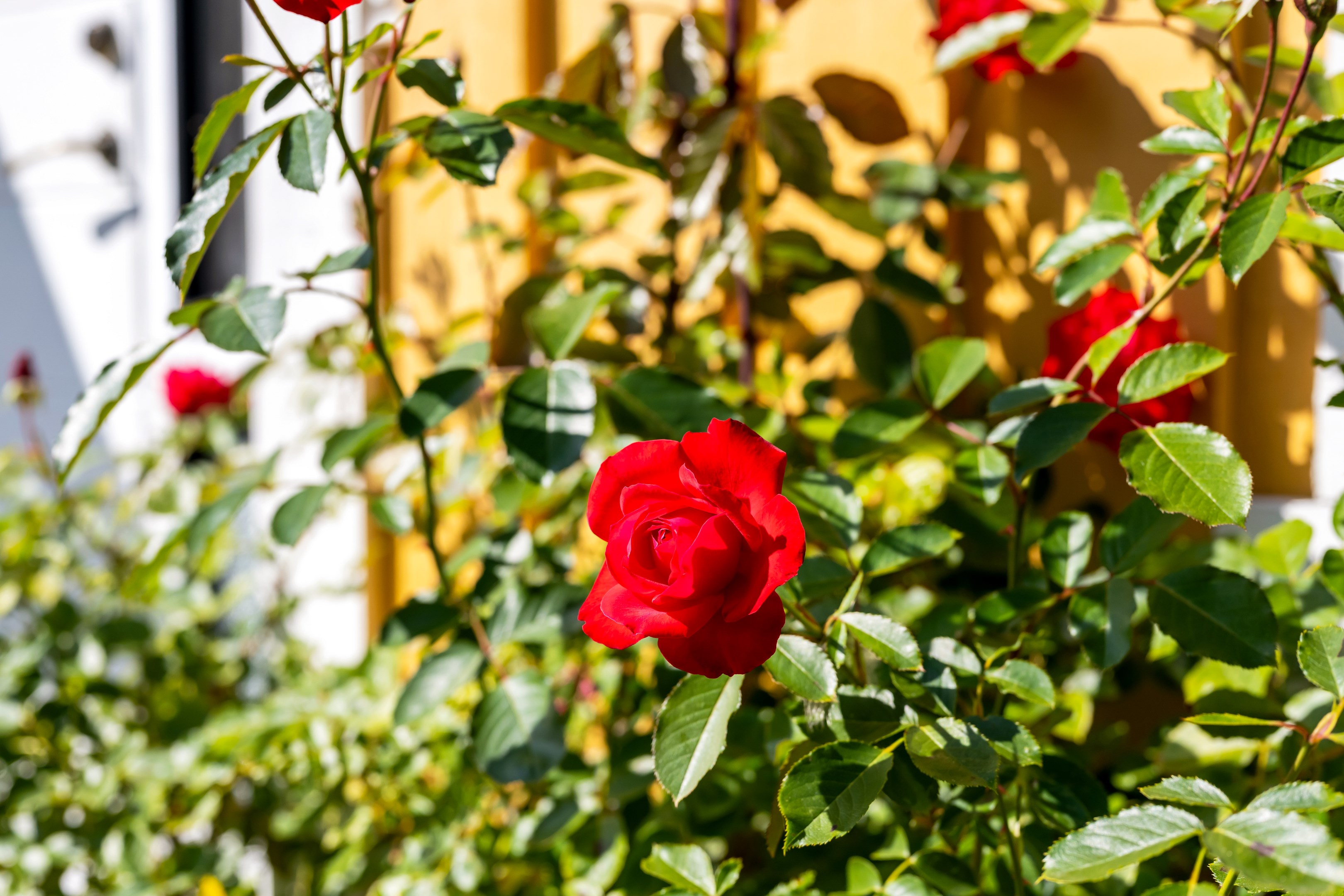 Bostadsbild från Lilla Ålbo 19, Såld i Vänge, Uppsala