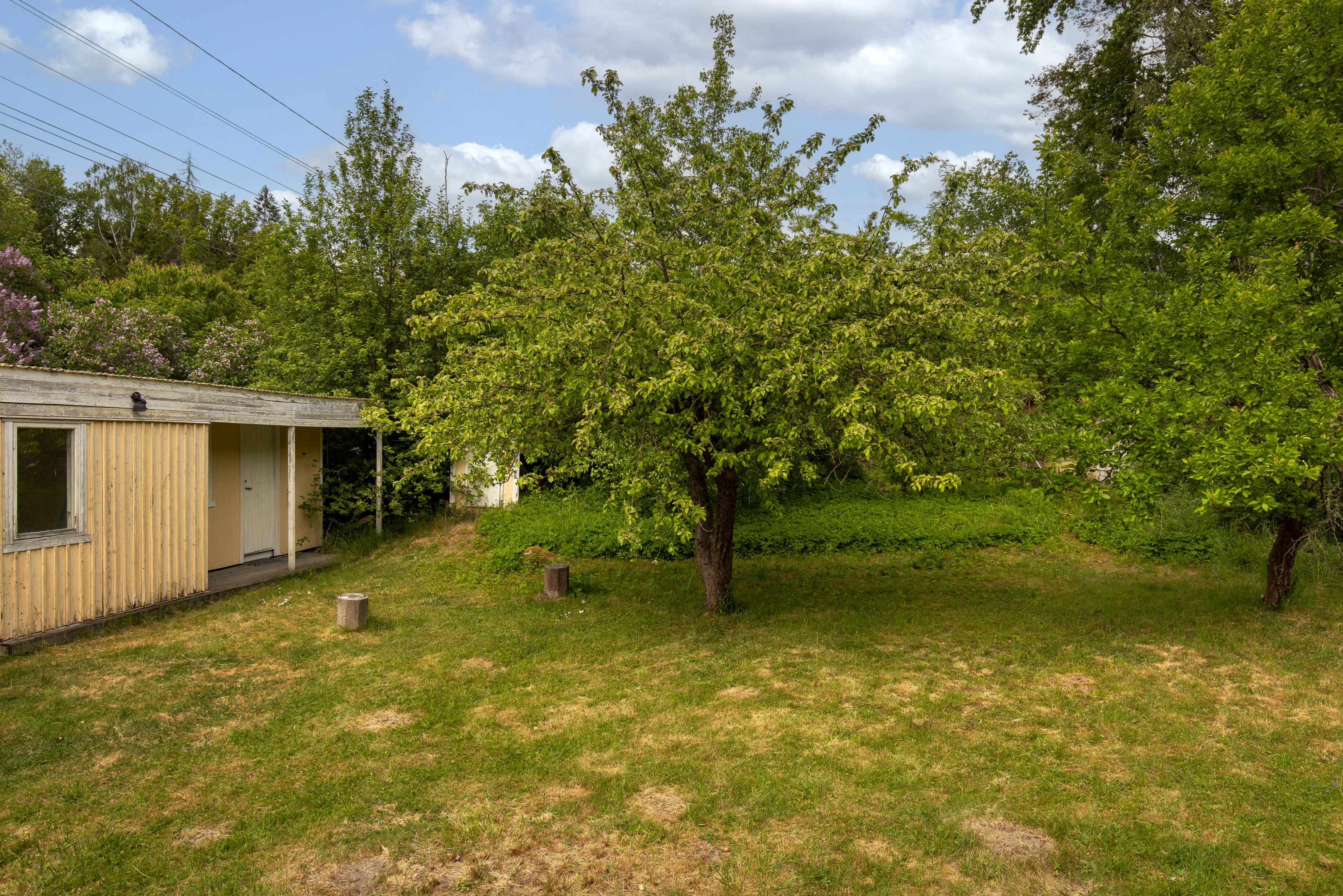 Uppvuxen trädgård med stor potential!
